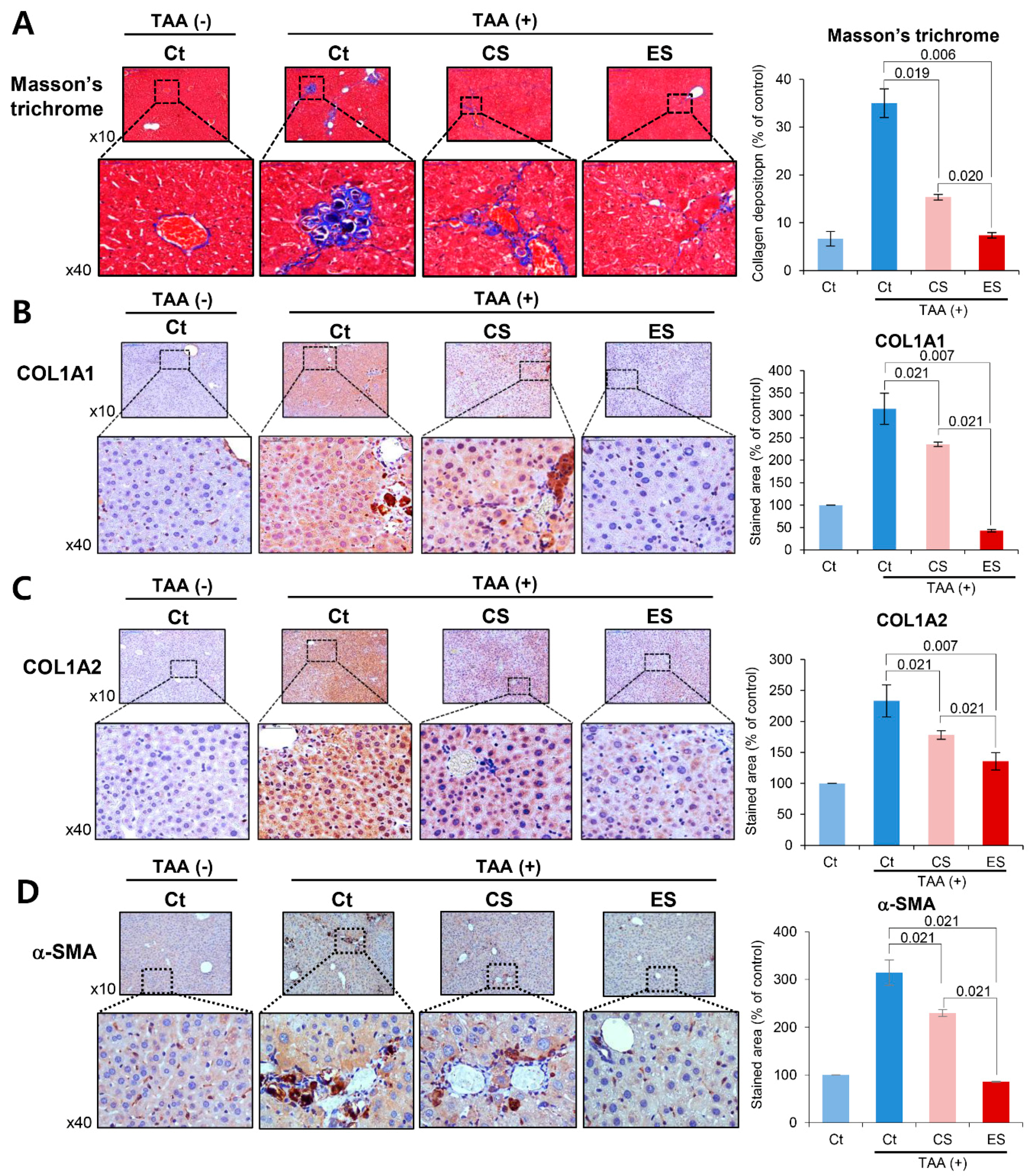 Ijms 20 06302 g005 Ijms 20 06302 g005
