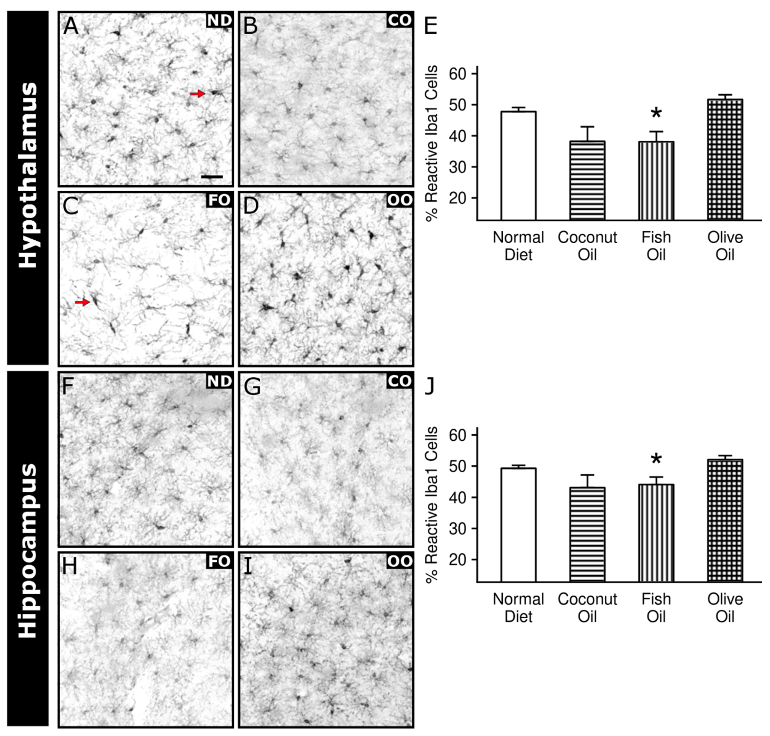 Ijms 20 06303 g007 Ijms 20 06303 g007