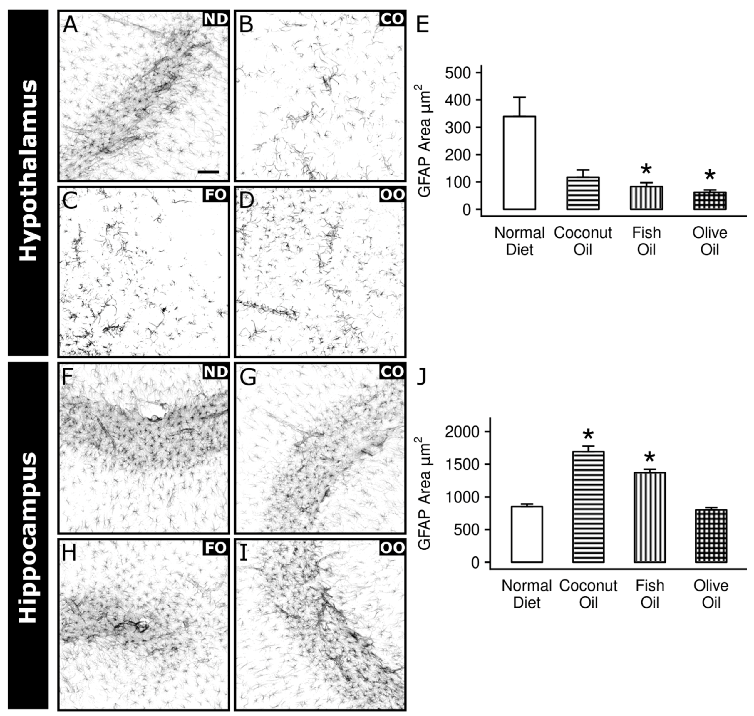 Ijms 20 06303 g008 Ijms 20 06303 g008
