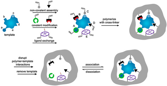 ミナ！！ Strategies for Molecular Imprinting and the Evolution of MIP