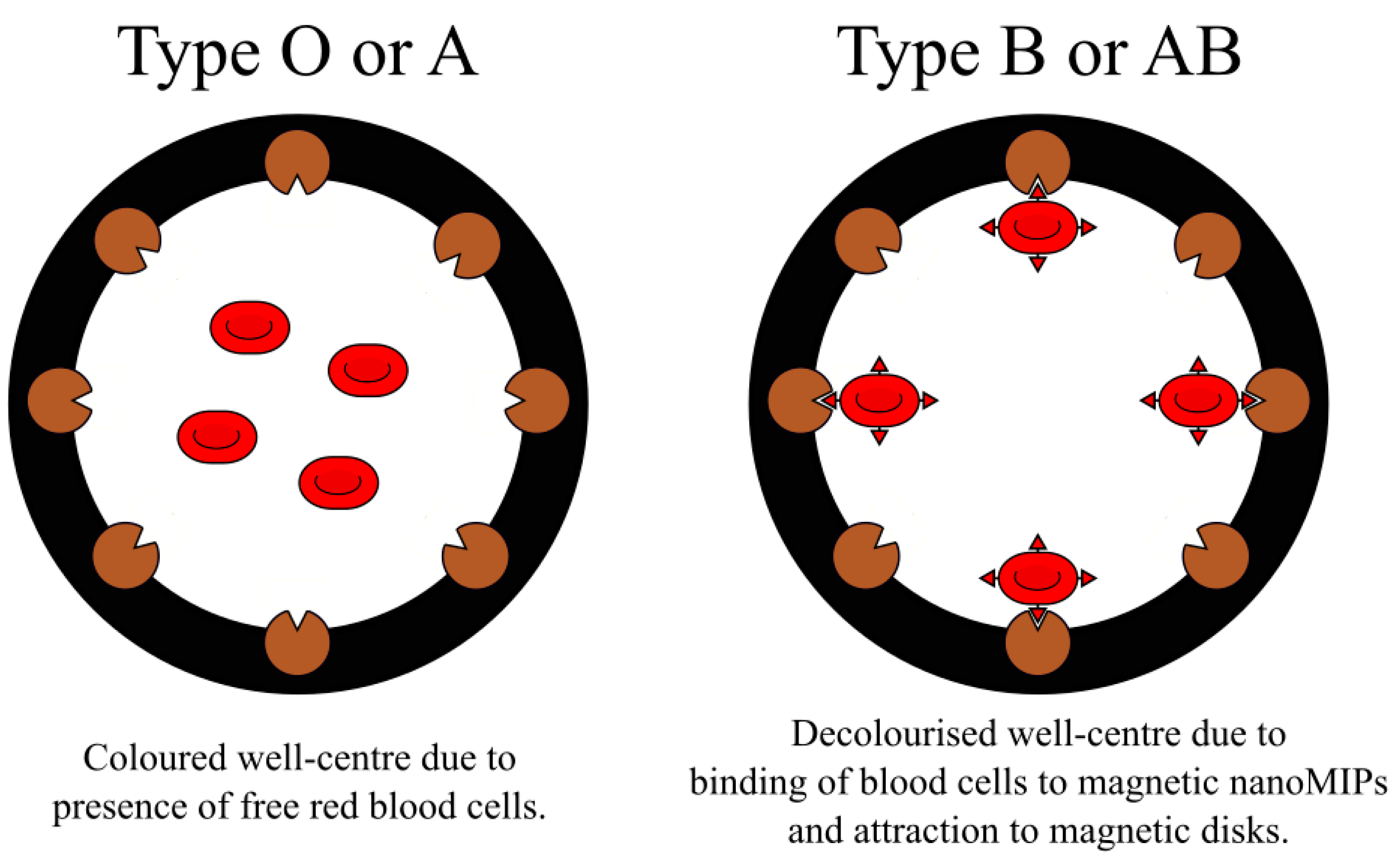 Ijms Free Full Text Strategies For Molecular Imprinting And