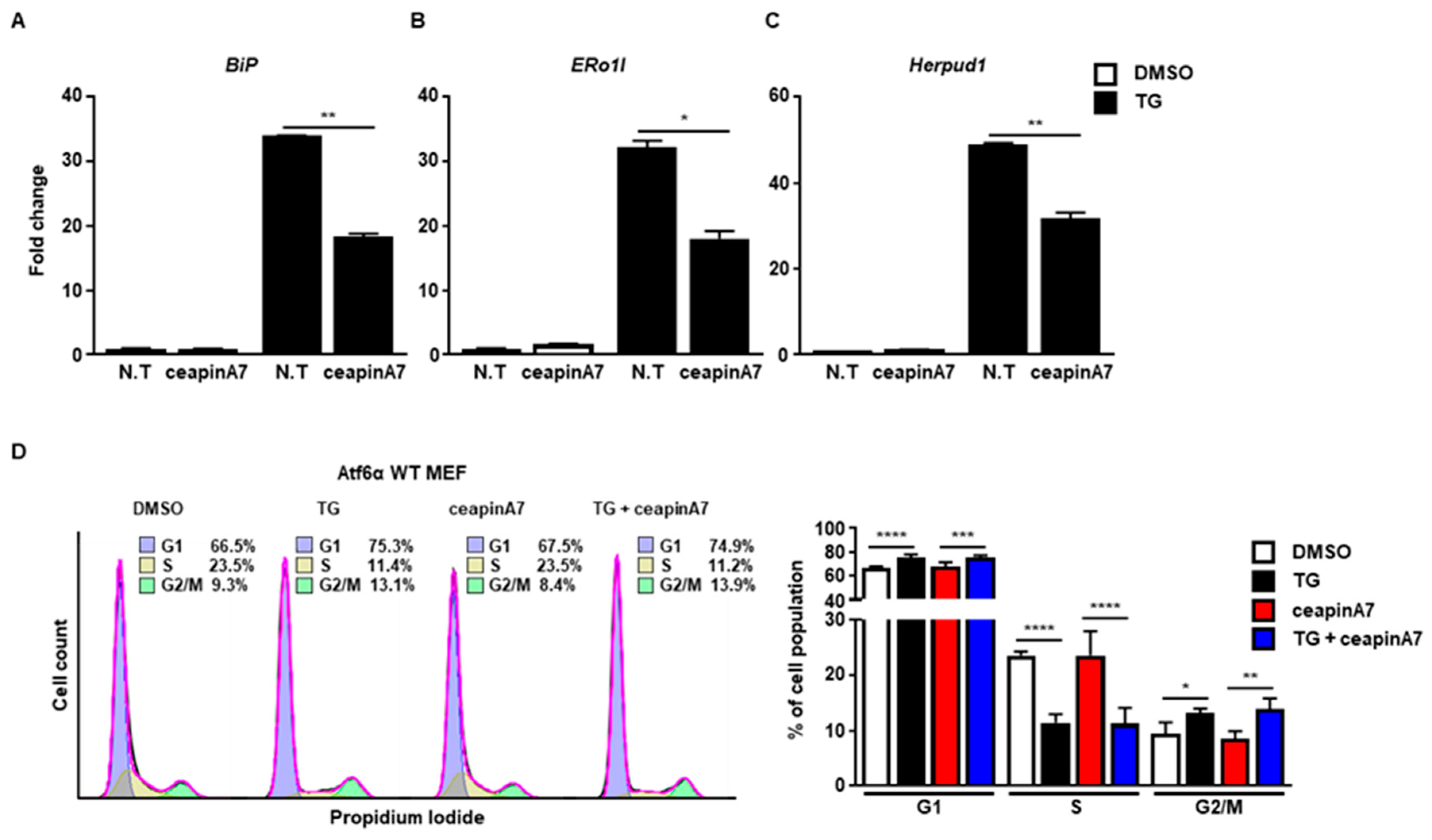 Ijms 20 06309 g003 Ijms 20 06309 g003