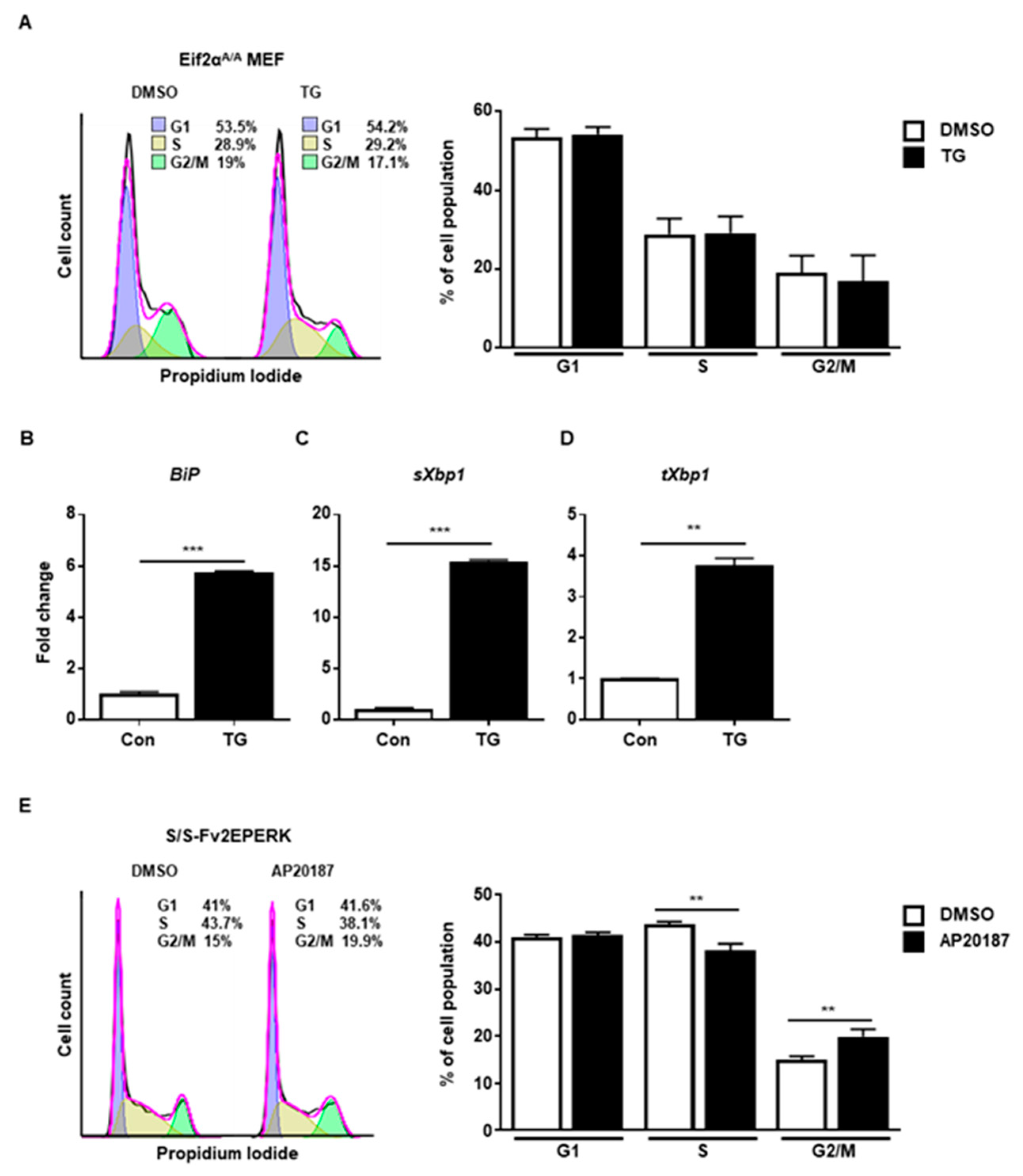 Ijms 20 06309 g004 Ijms 20 06309 g004