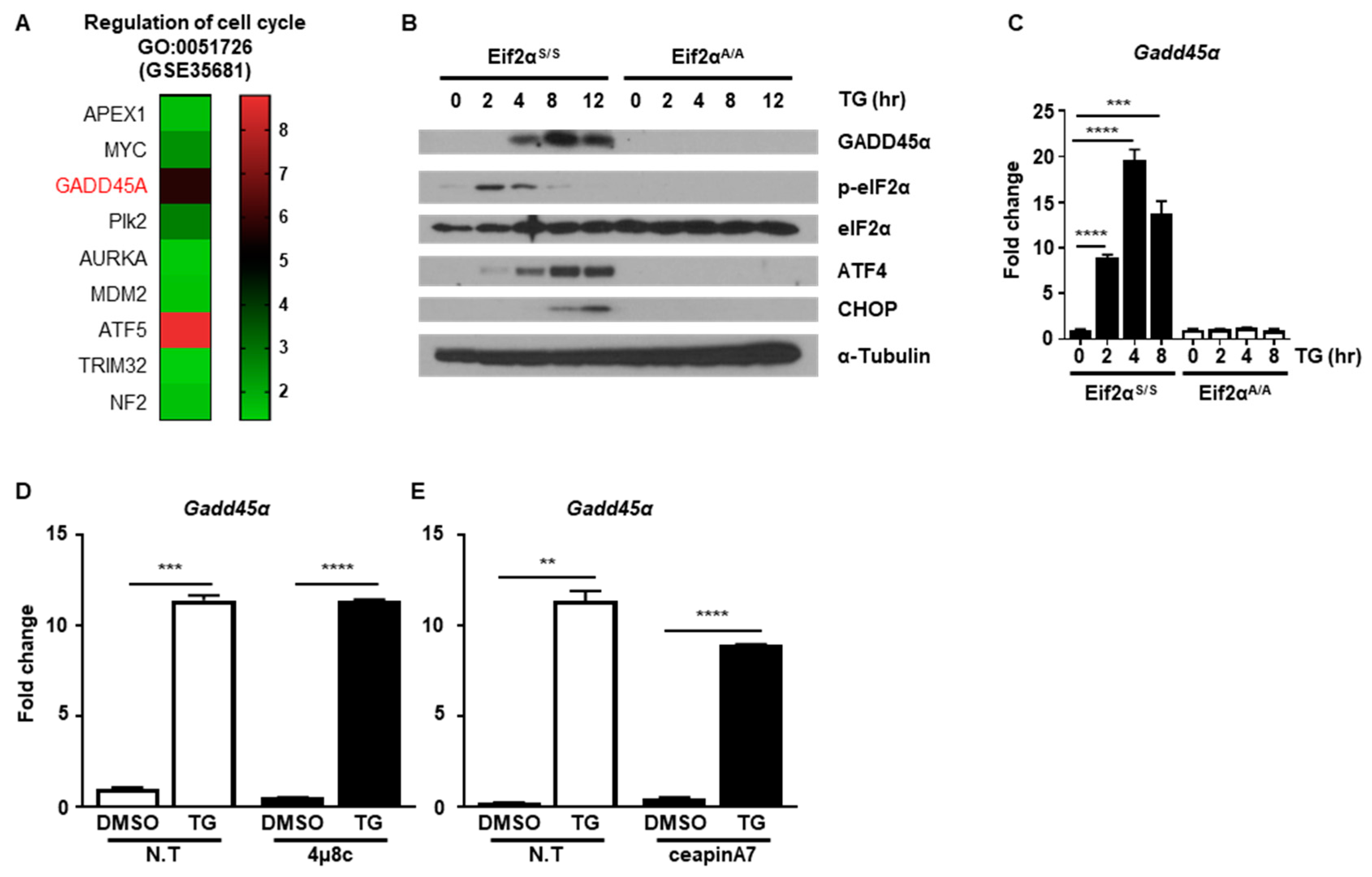 Ijms 20 06309 g005 Ijms 20 06309 g005