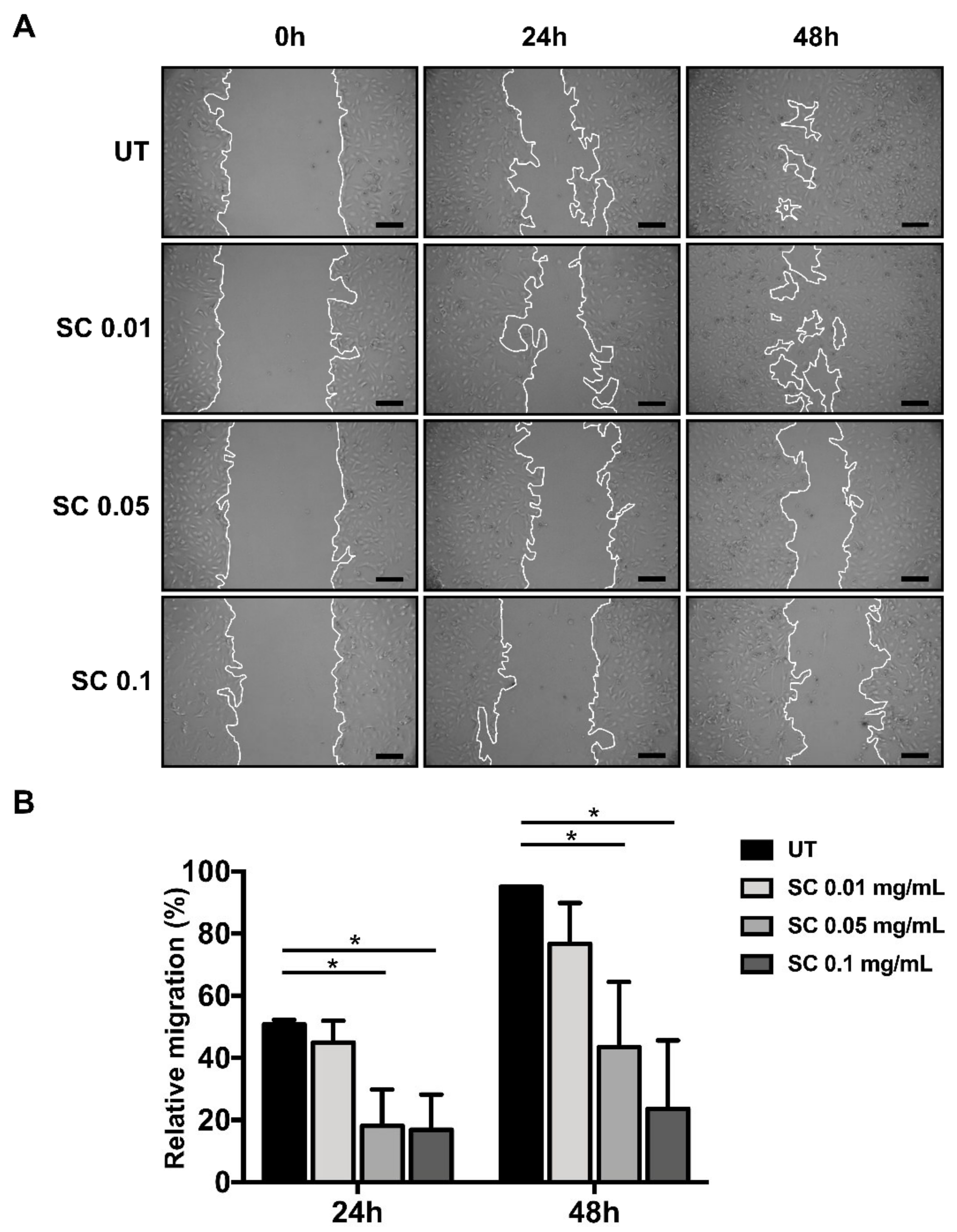 Ijms 20 06314 g002 Ijms 20 06314 g002