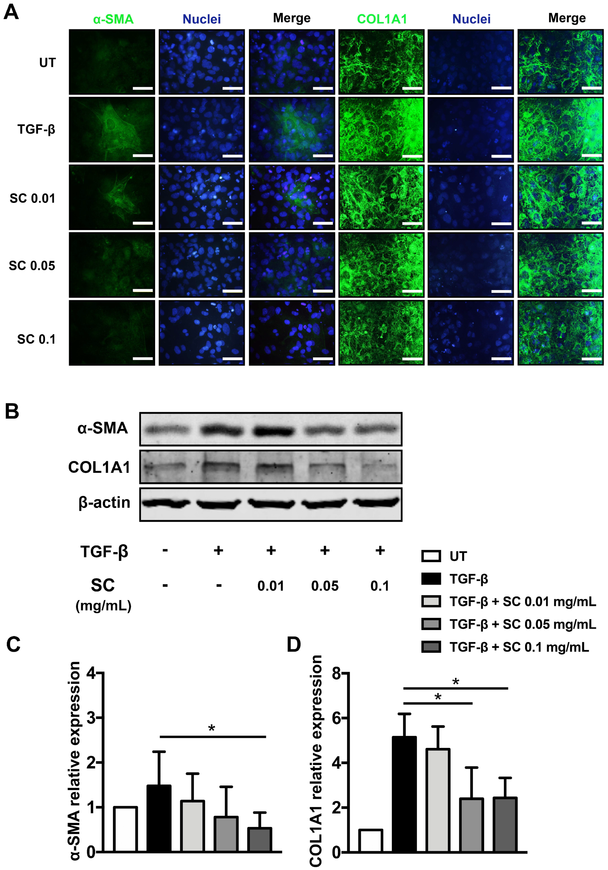 Ijms 20 06314 g004 Ijms 20 06314 g004