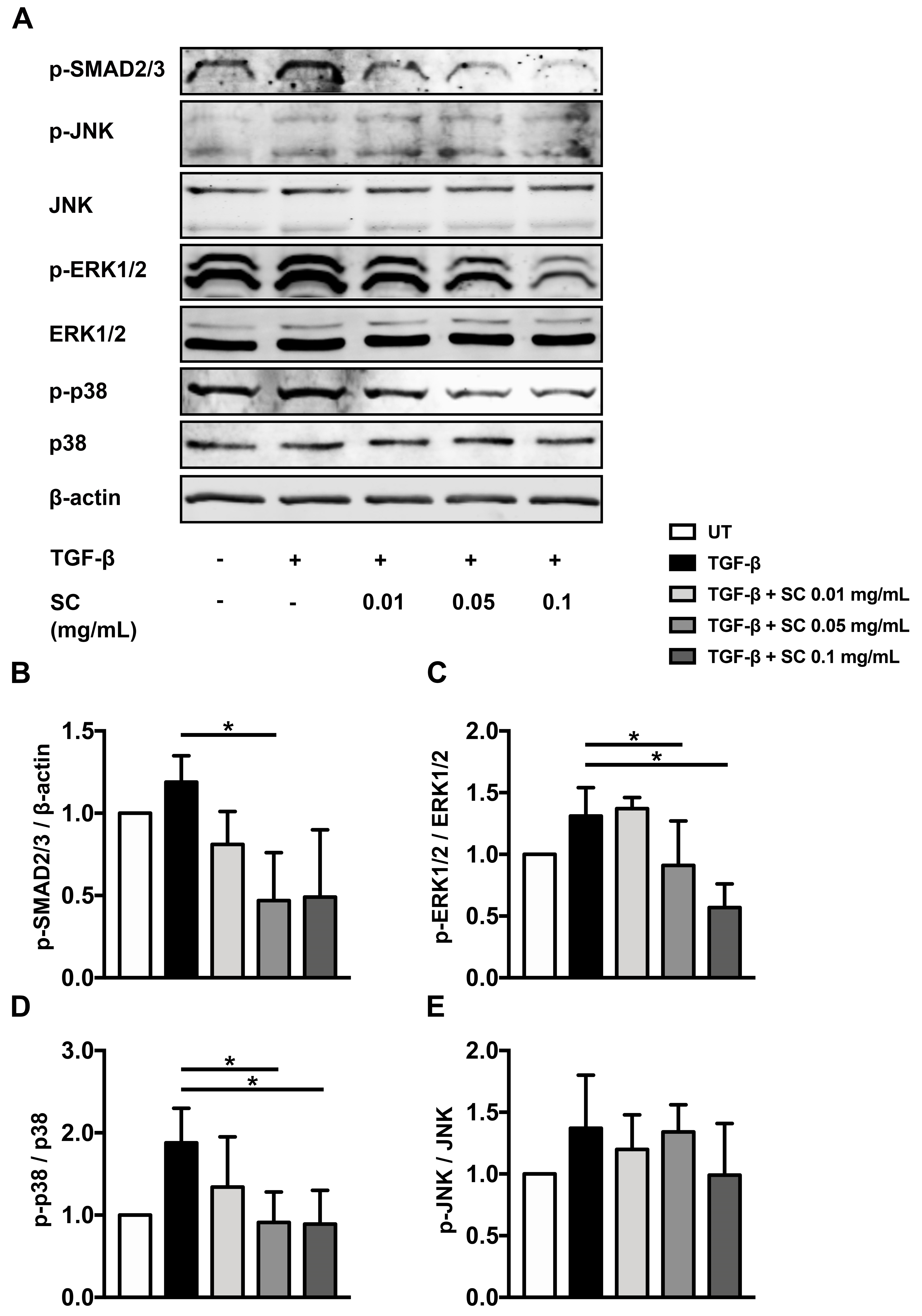 Ijms 20 06314 g006 Ijms 20 06314 g006