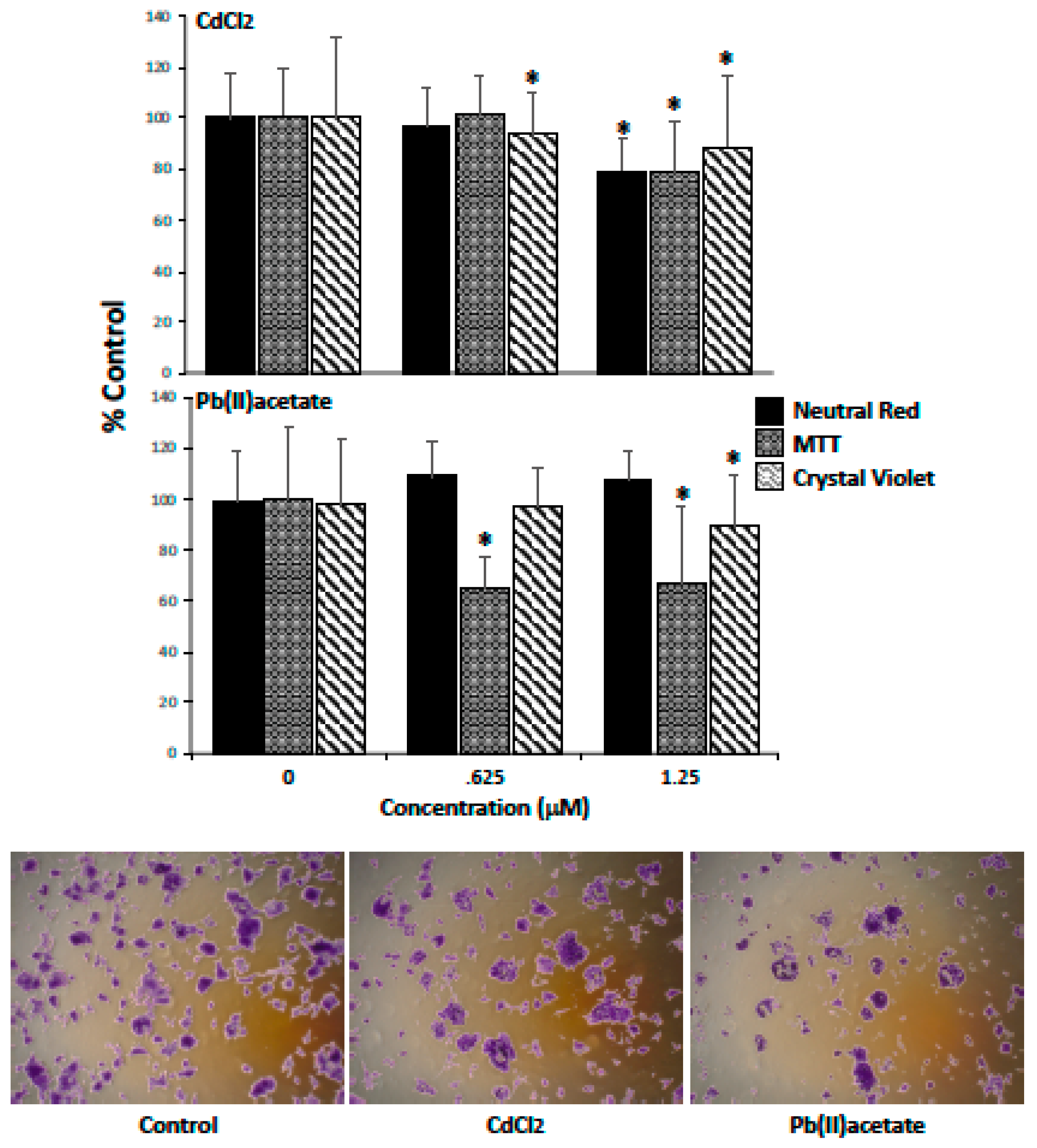 Ijms 20 06315 g001 Ijms 20 06315 g001
