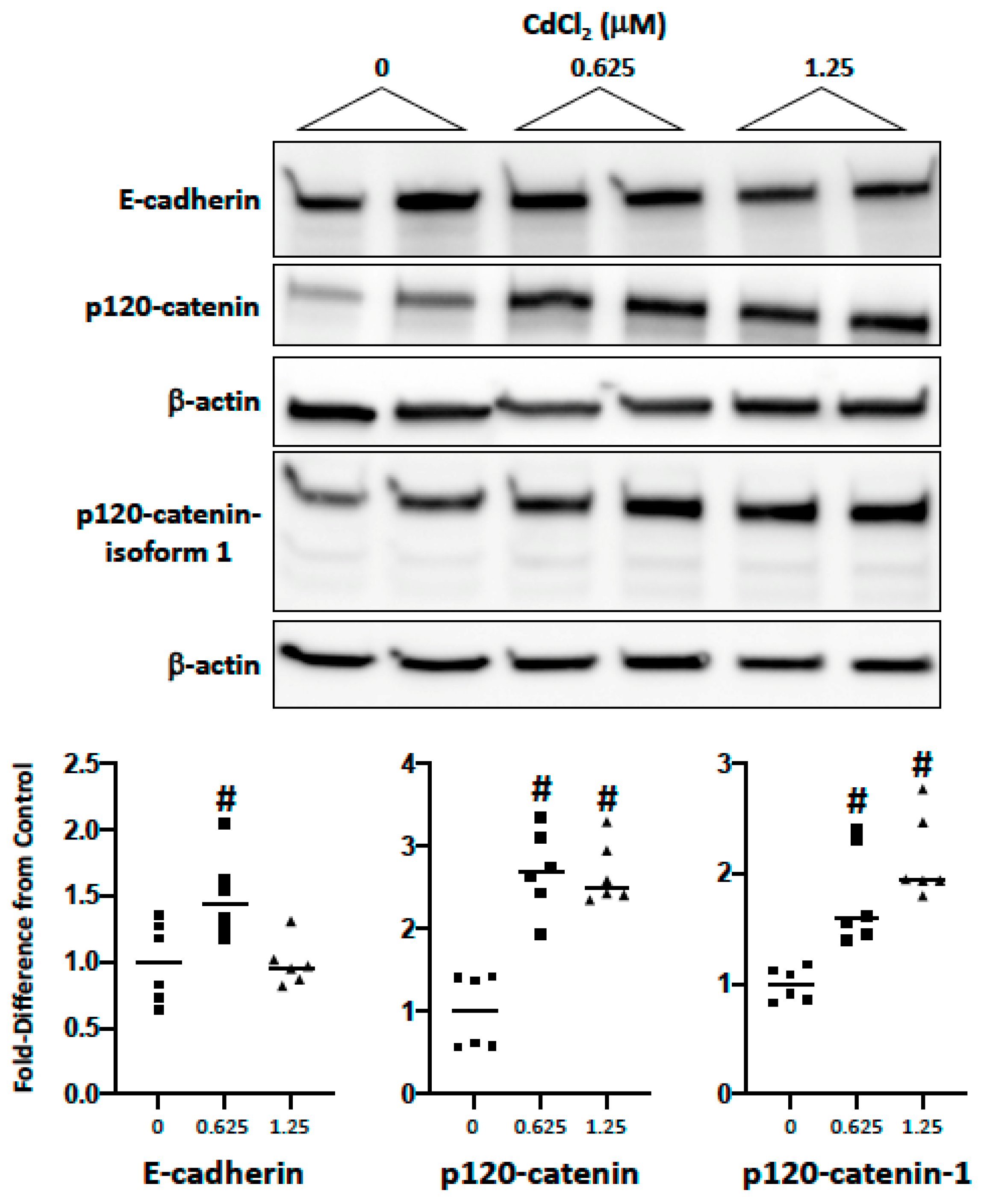 Ijms 20 06315 g002 Ijms 20 06315 g002