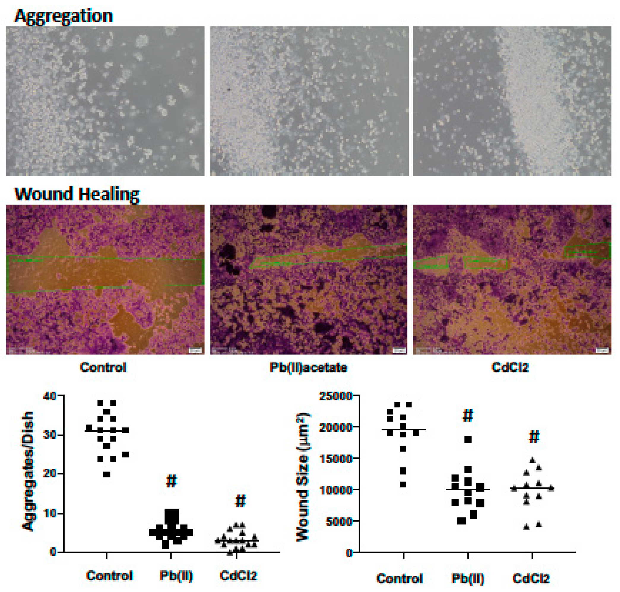Ijms 20 06315 g004 Ijms 20 06315 g004
