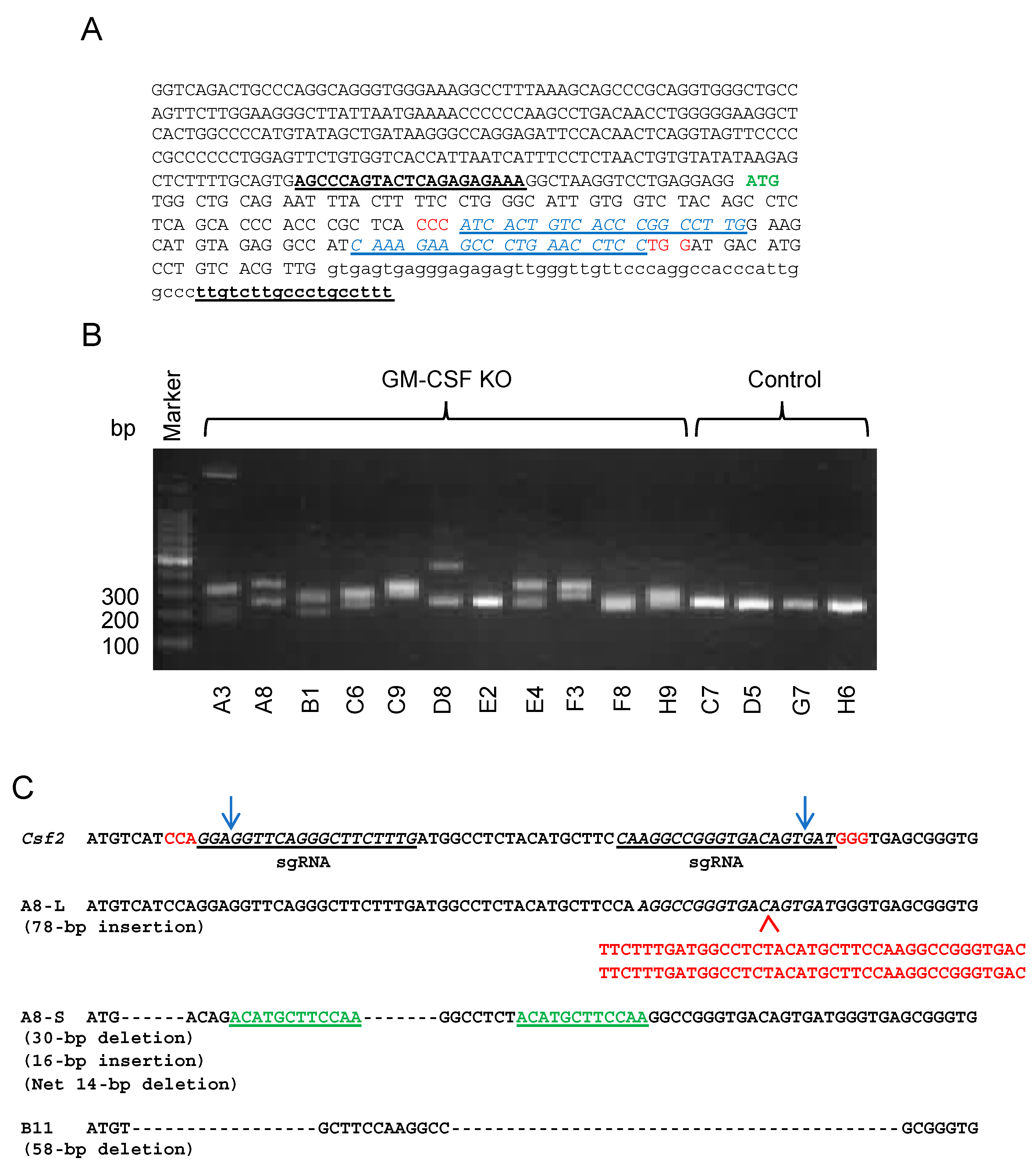 Ijms 20 06342 g002