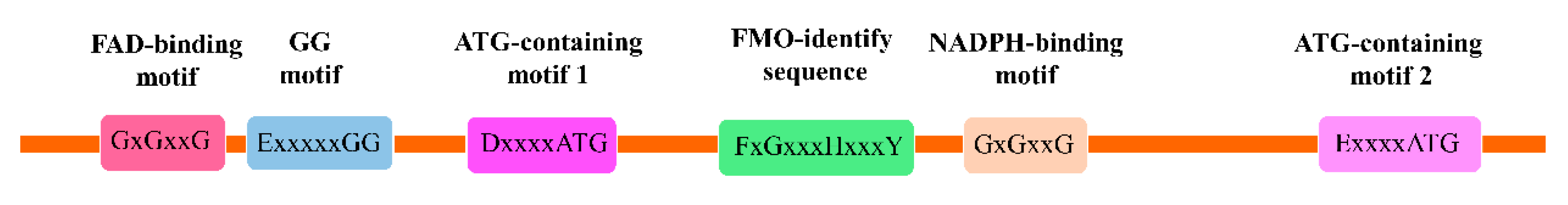 Ijms 20 06343 g002