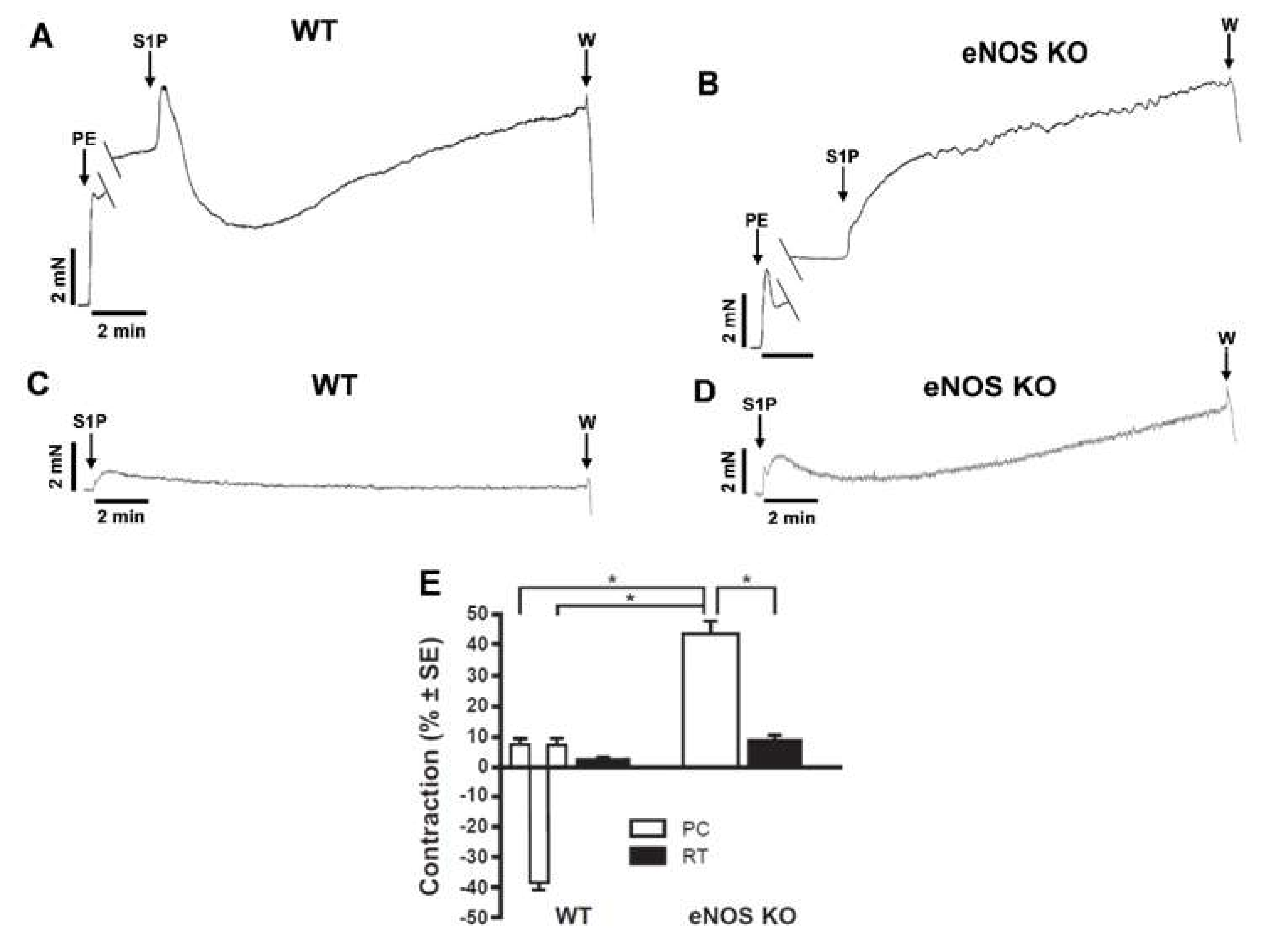 Ijms 20 06361 g001