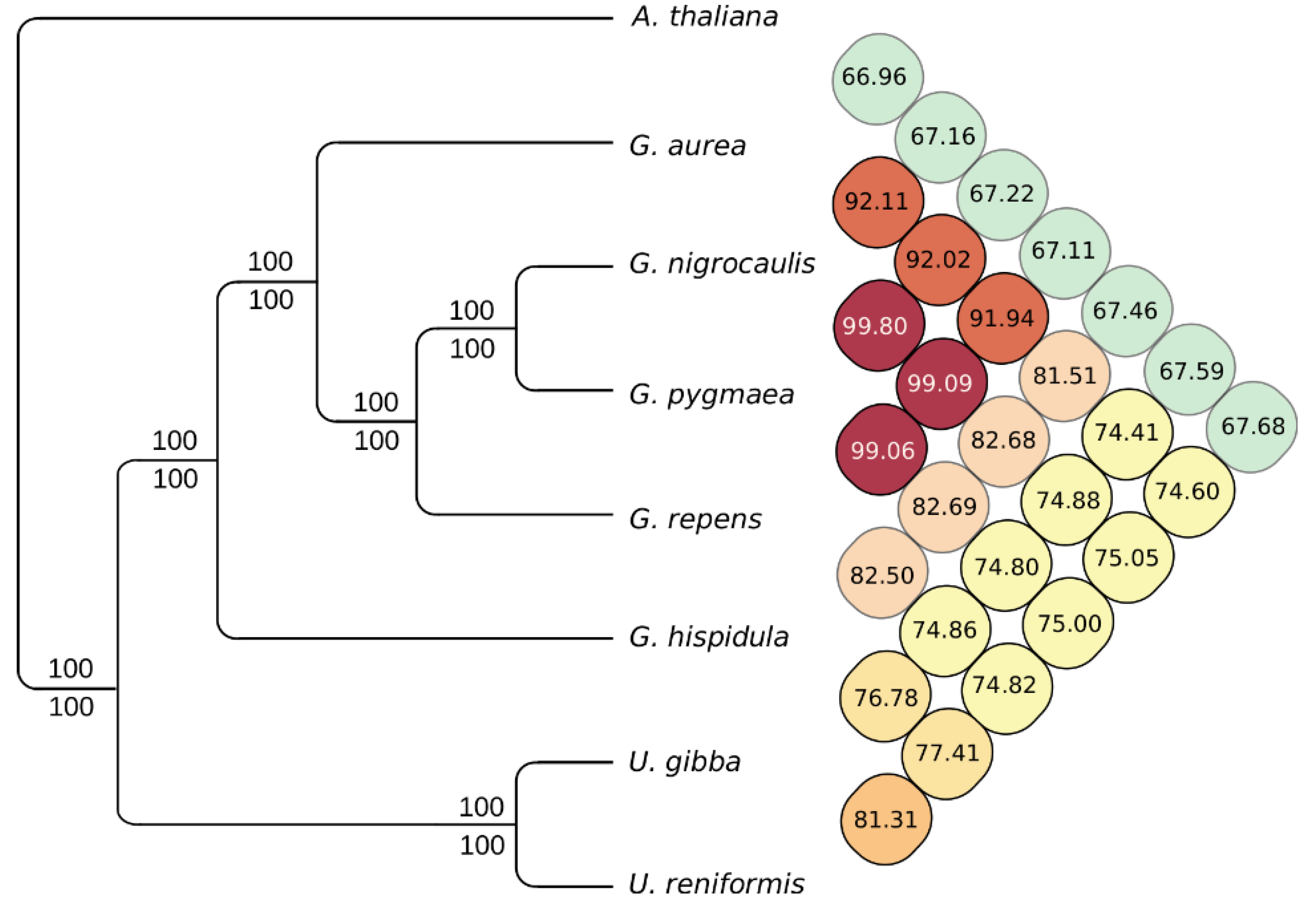 Ijms 21 00003 g005 Ijms 21 00003 g005