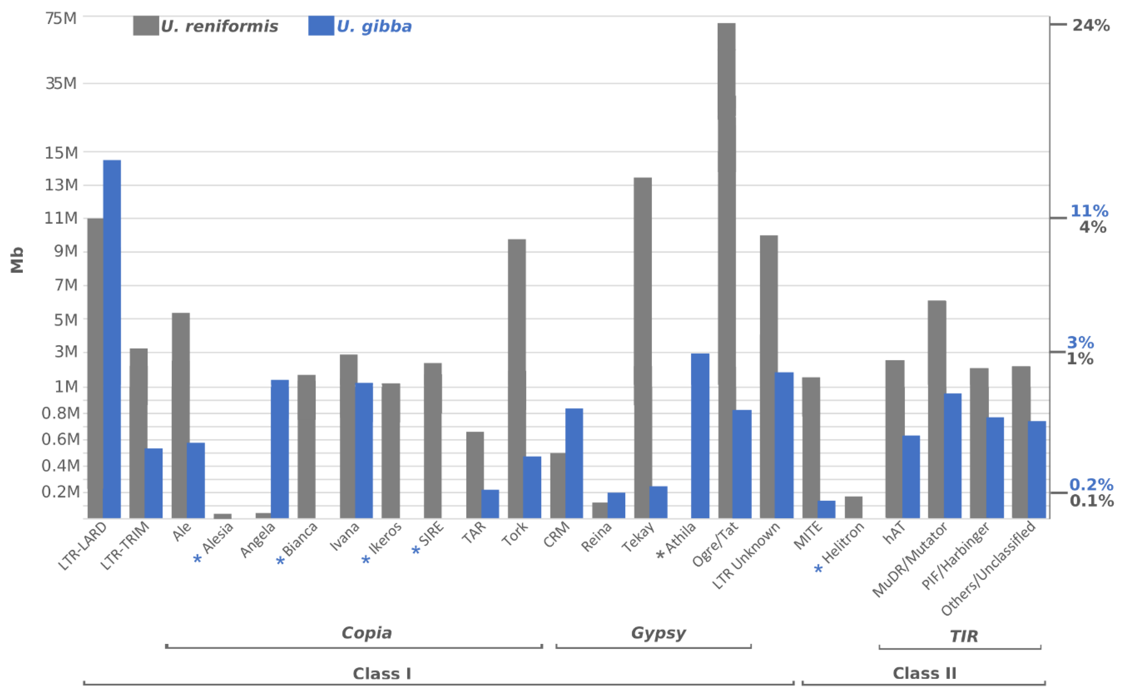 Ijms 21 00003 g006 Ijms 21 00003 g006