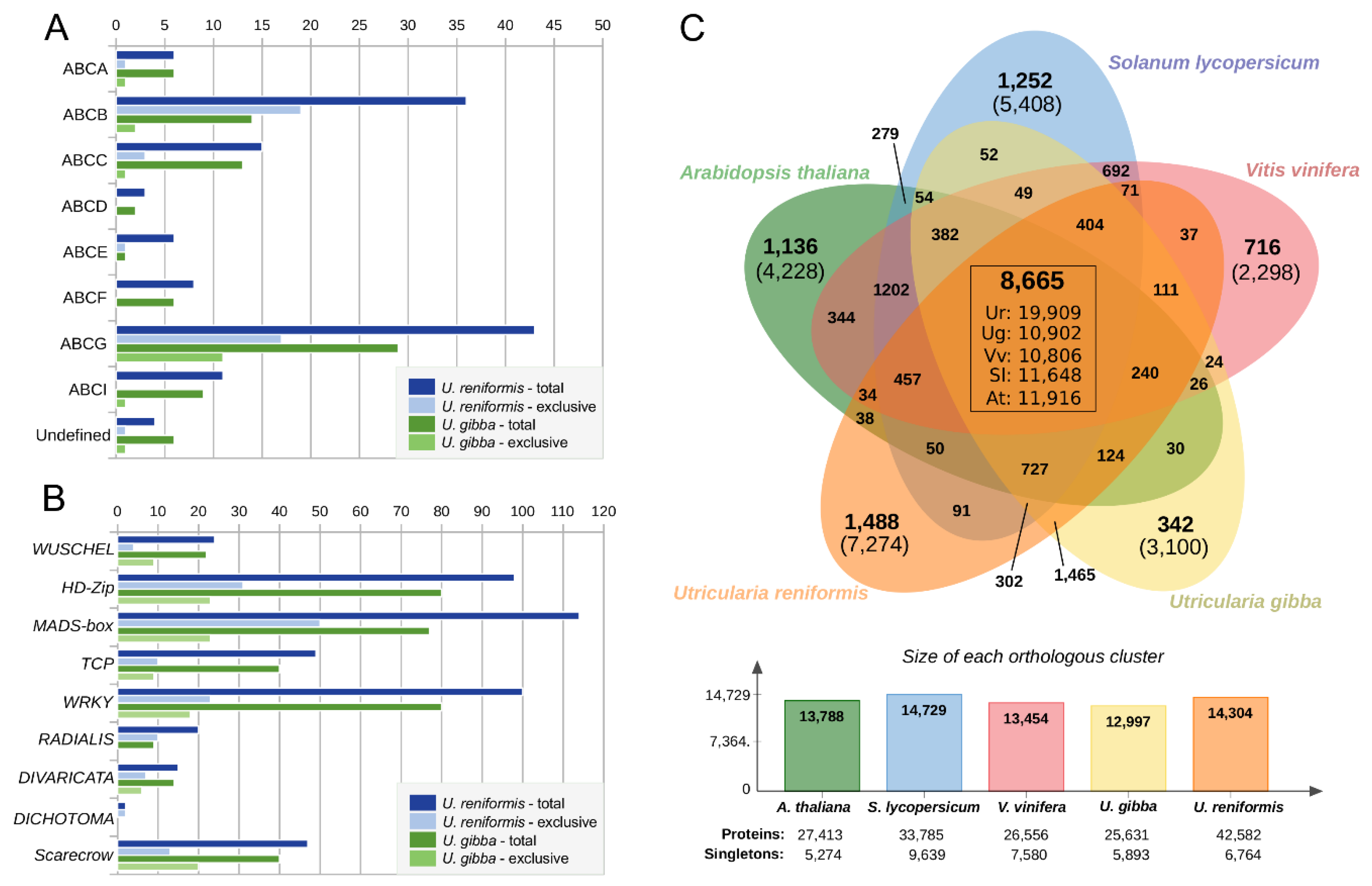 Ijms 21 00003 g008 Ijms 21 00003 g008