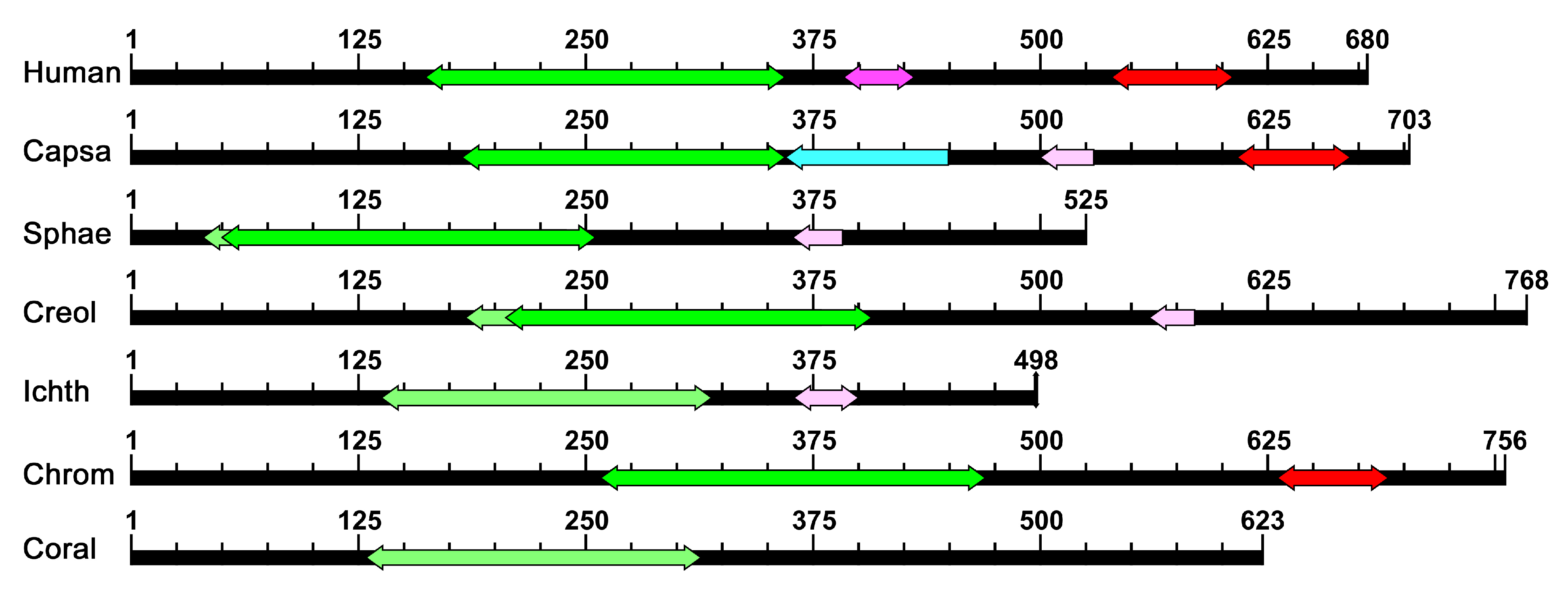 Ijms 21 00006 g001