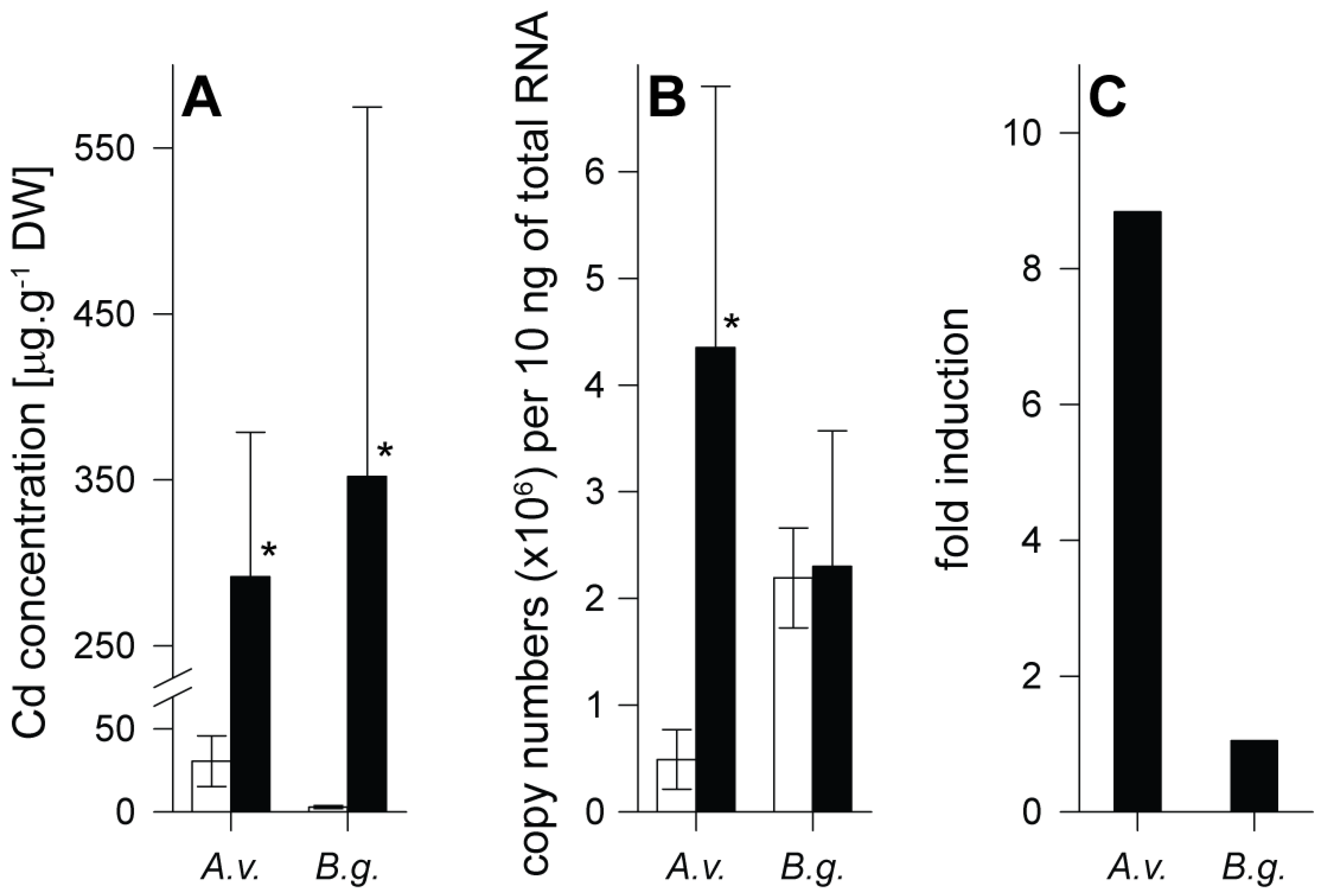 Ijms Free Full Text Cadmium Pathways In Snails Follow A