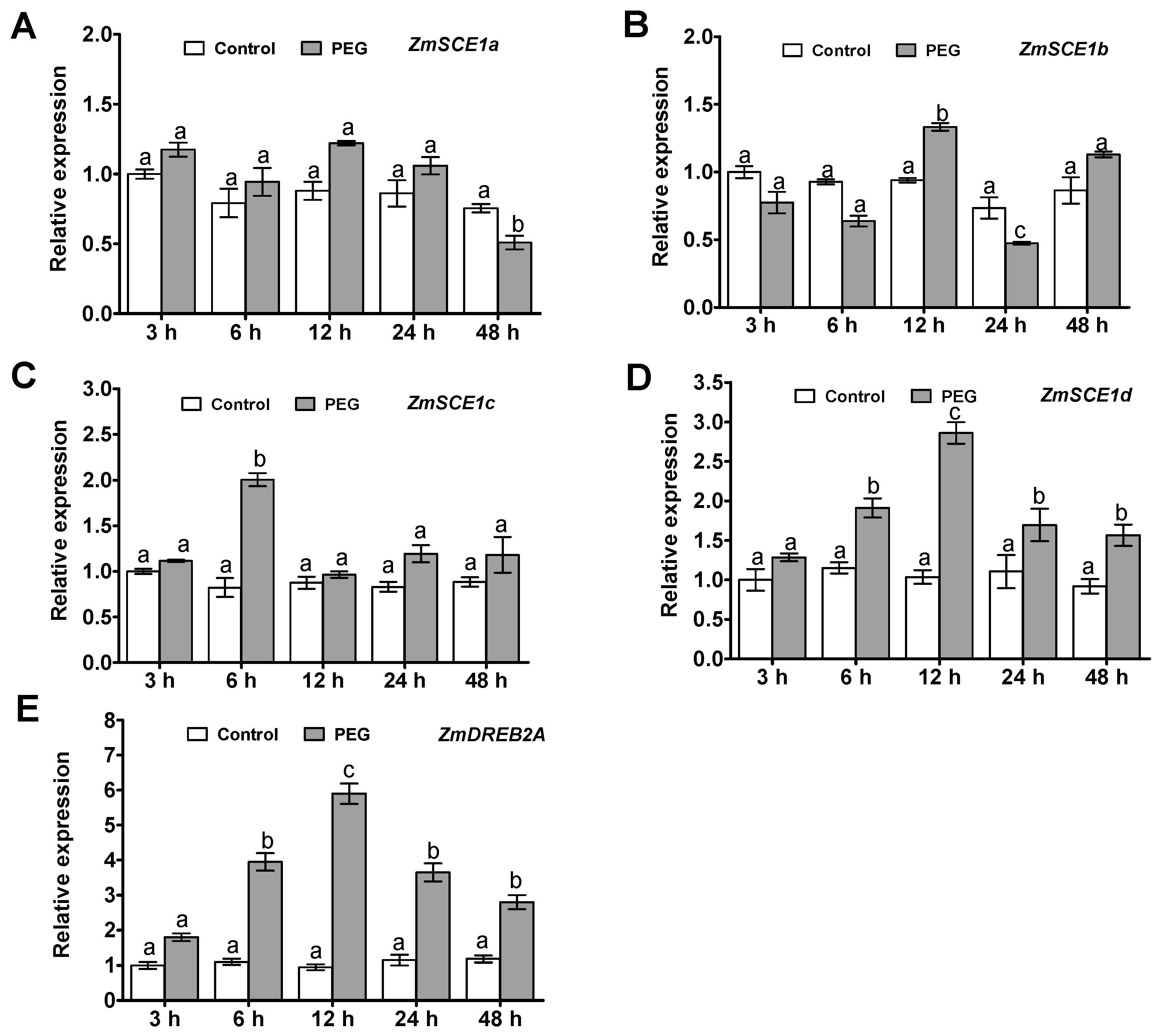 Ijms 21 00029 g002 Ijms 21 00029 g002