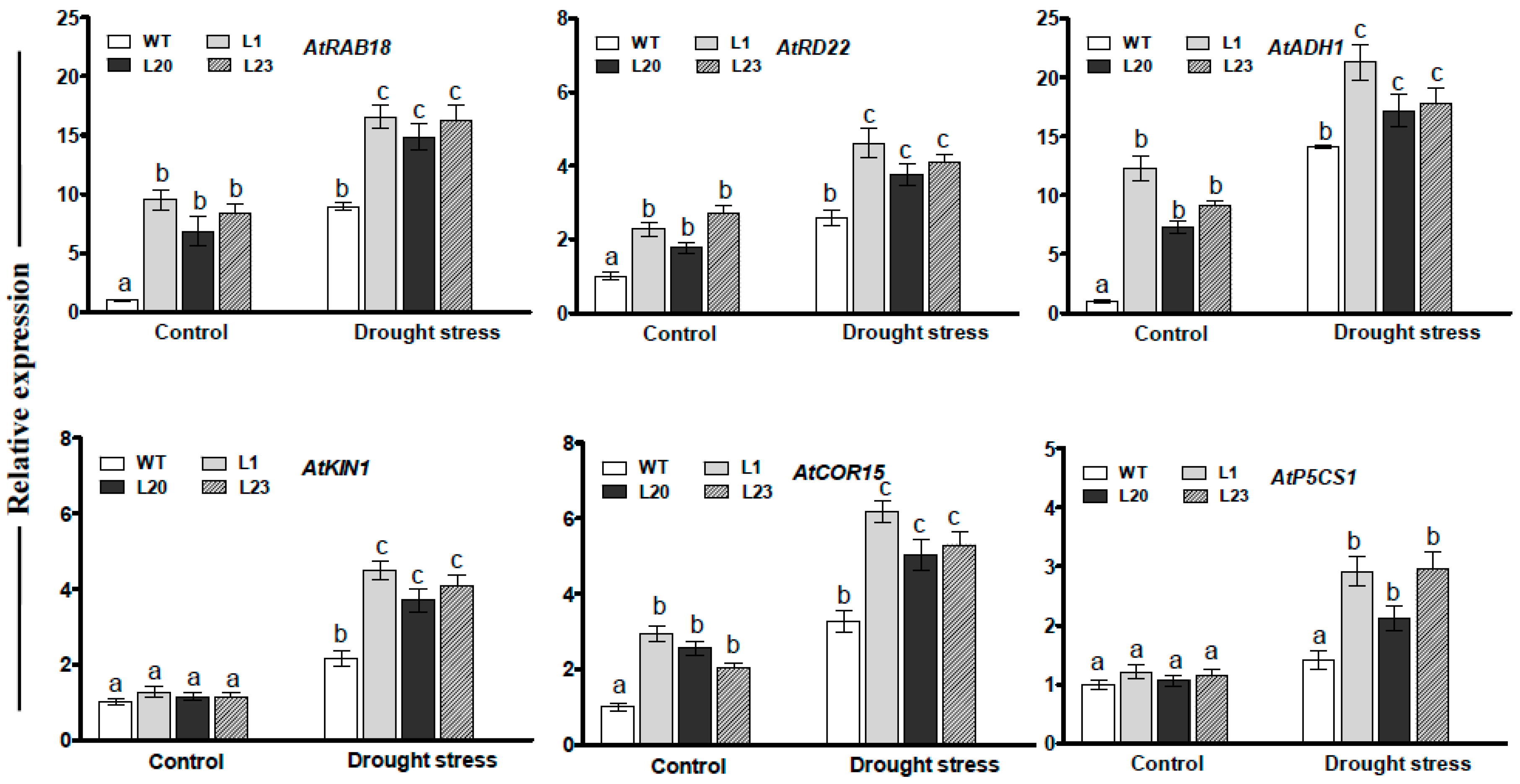 Ijms 21 00029 g007 Ijms 21 00029 g007
