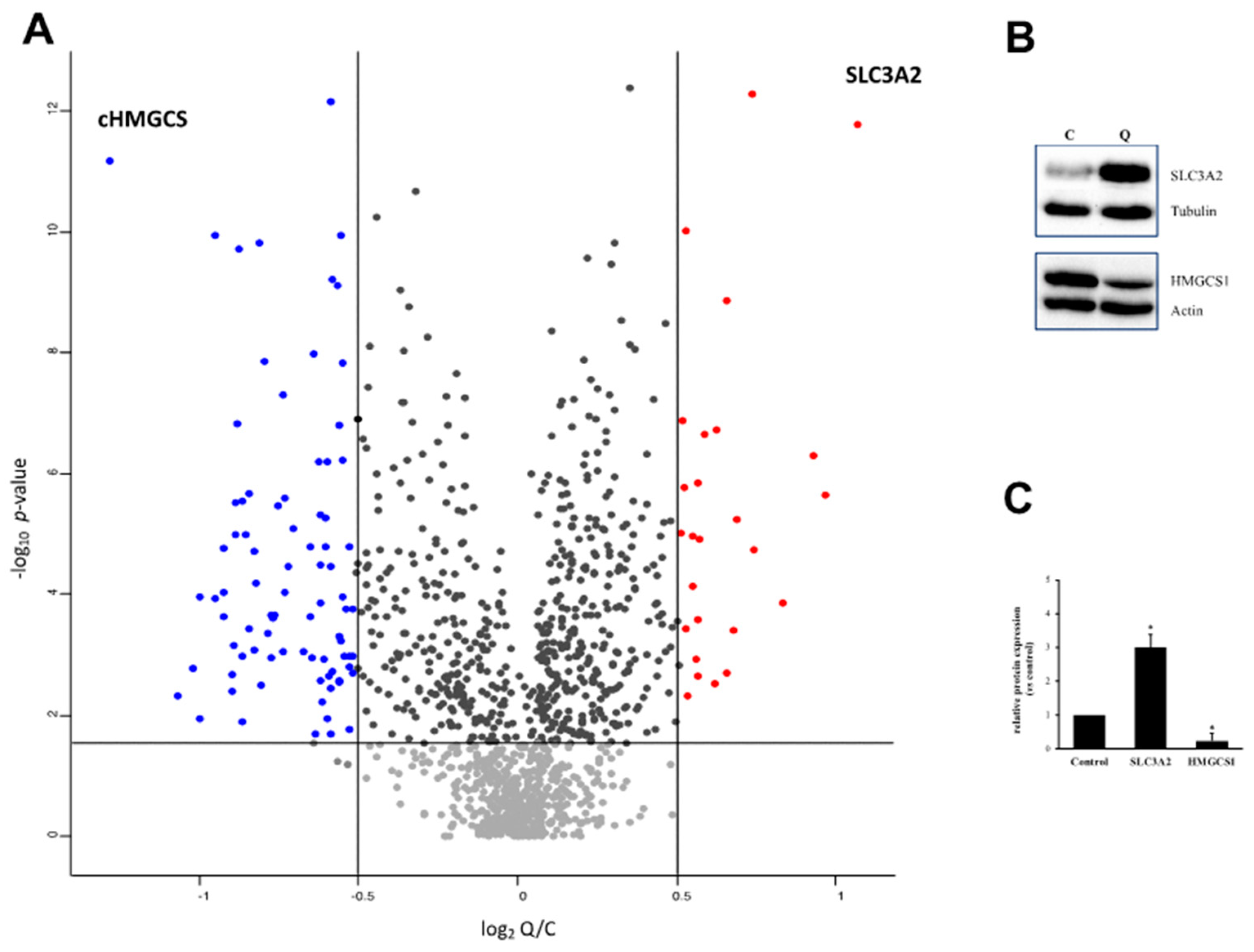 Ijms 21 00032 g003 Ijms 21 00032 g003