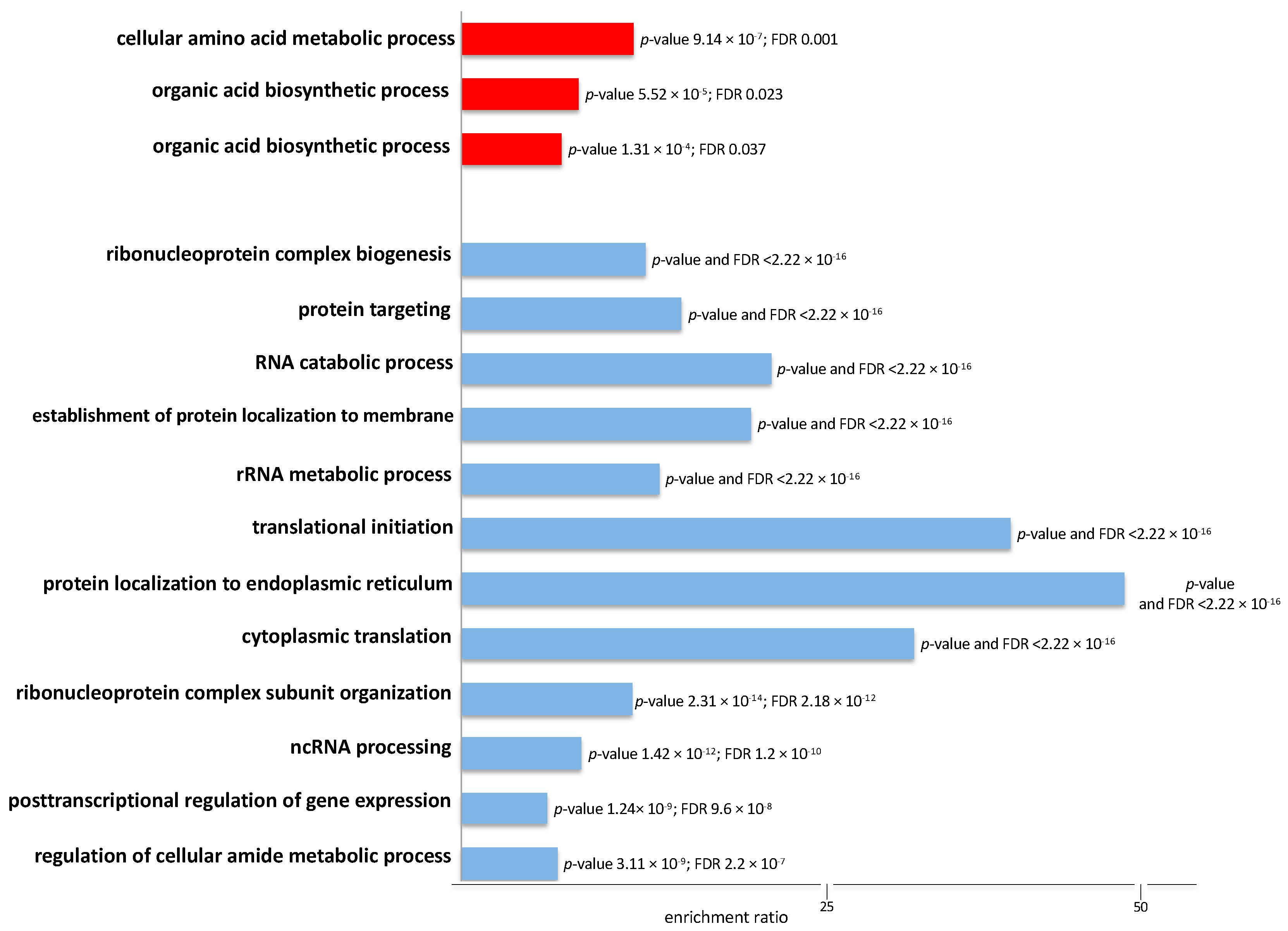 Ijms 21 00032 g004 Ijms 21 00032 g004