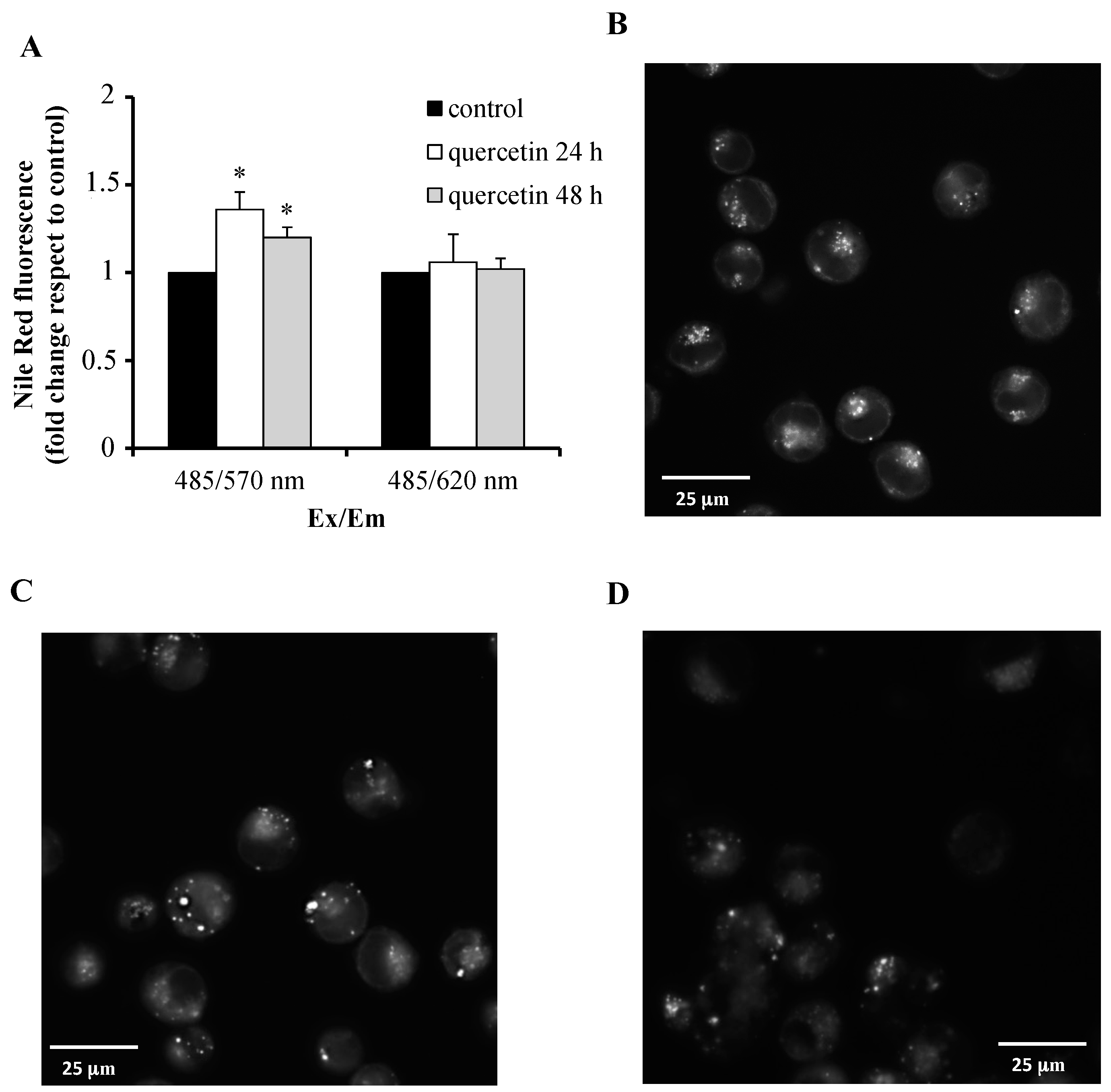 Ijms 21 00032 g006 Ijms 21 00032 g006