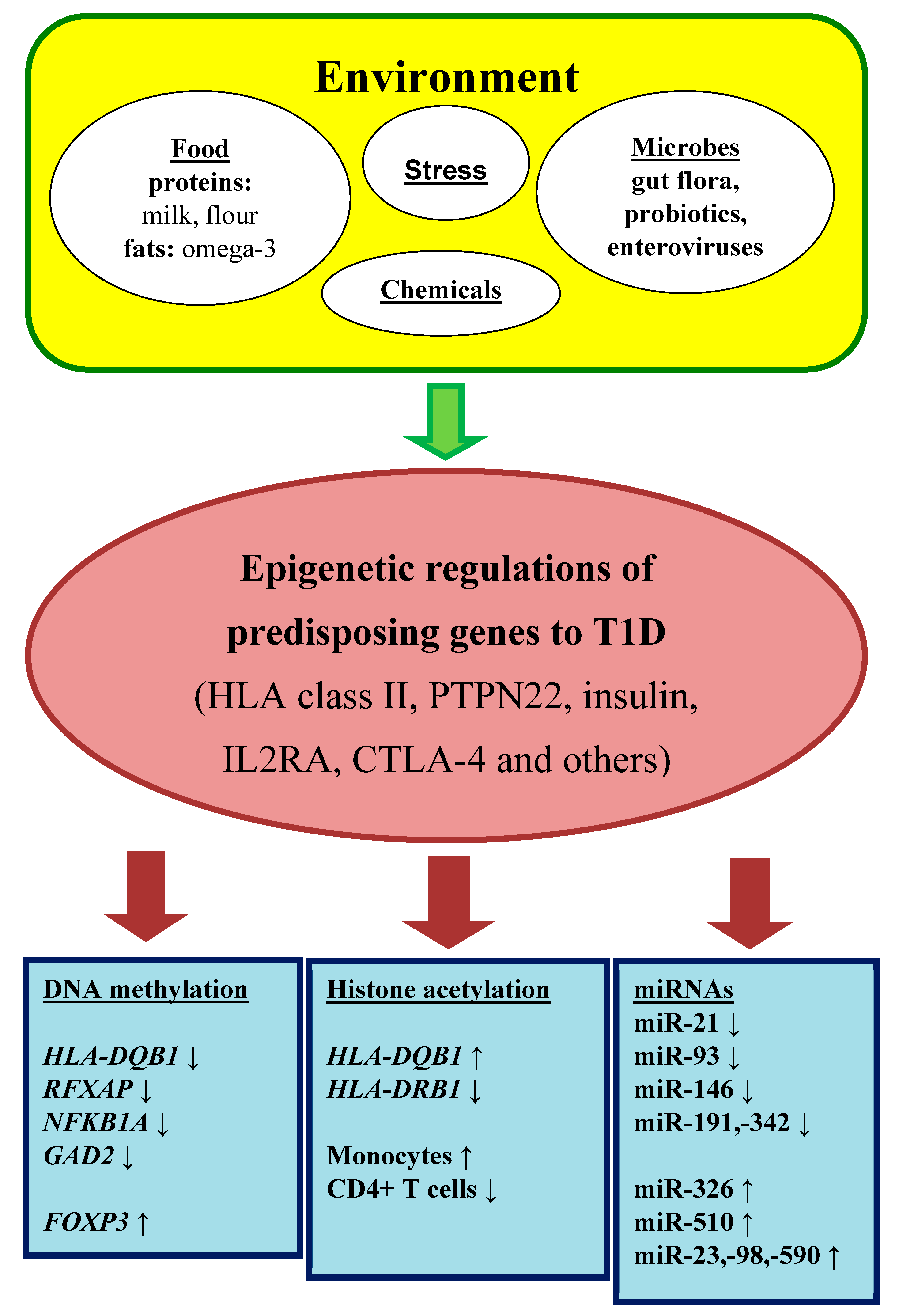 Ijms 21 00036 g001 Ijms 21 00036 g001