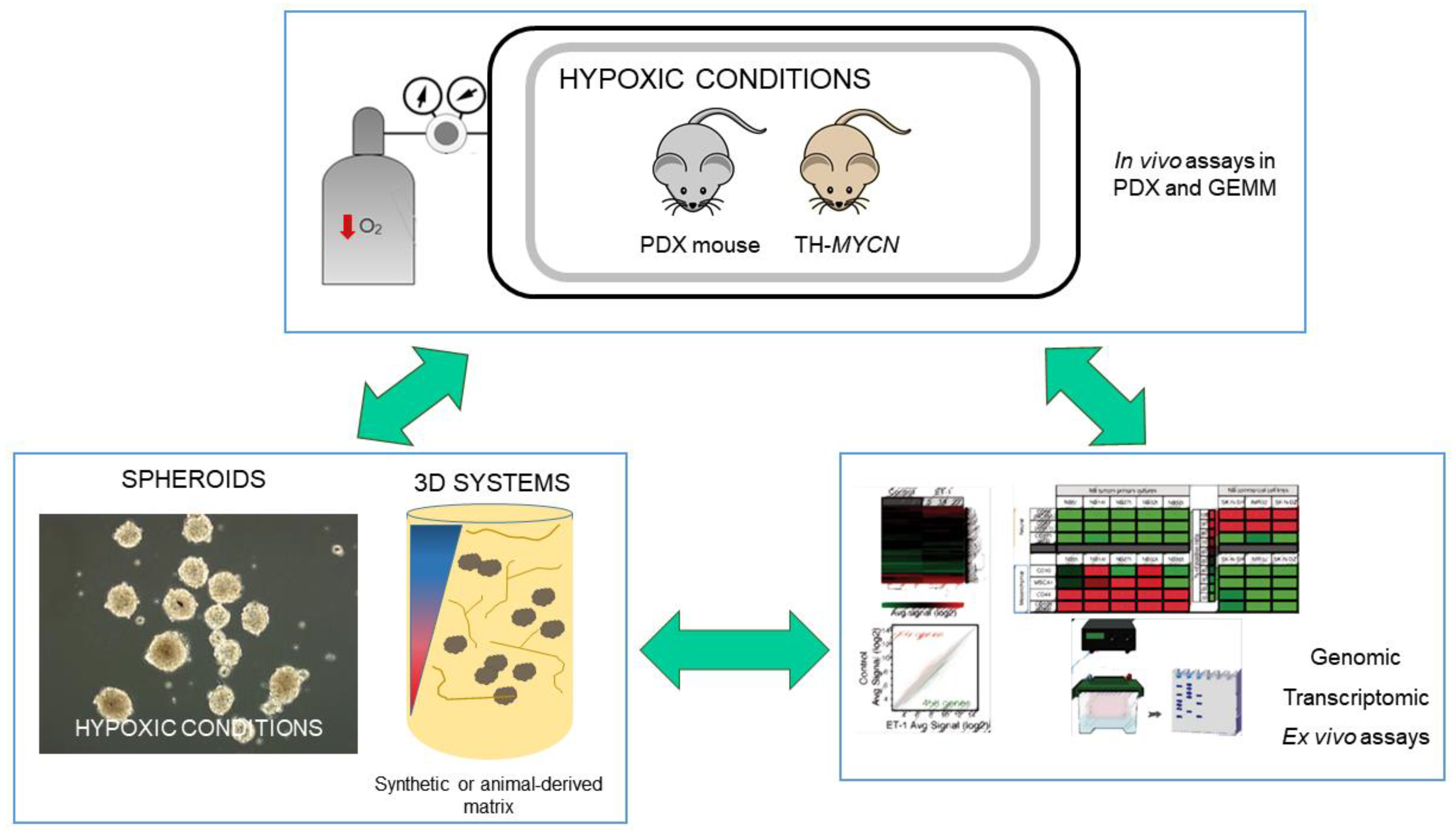 Ijms 21 00039 g001 Ijms 21 00039 g001