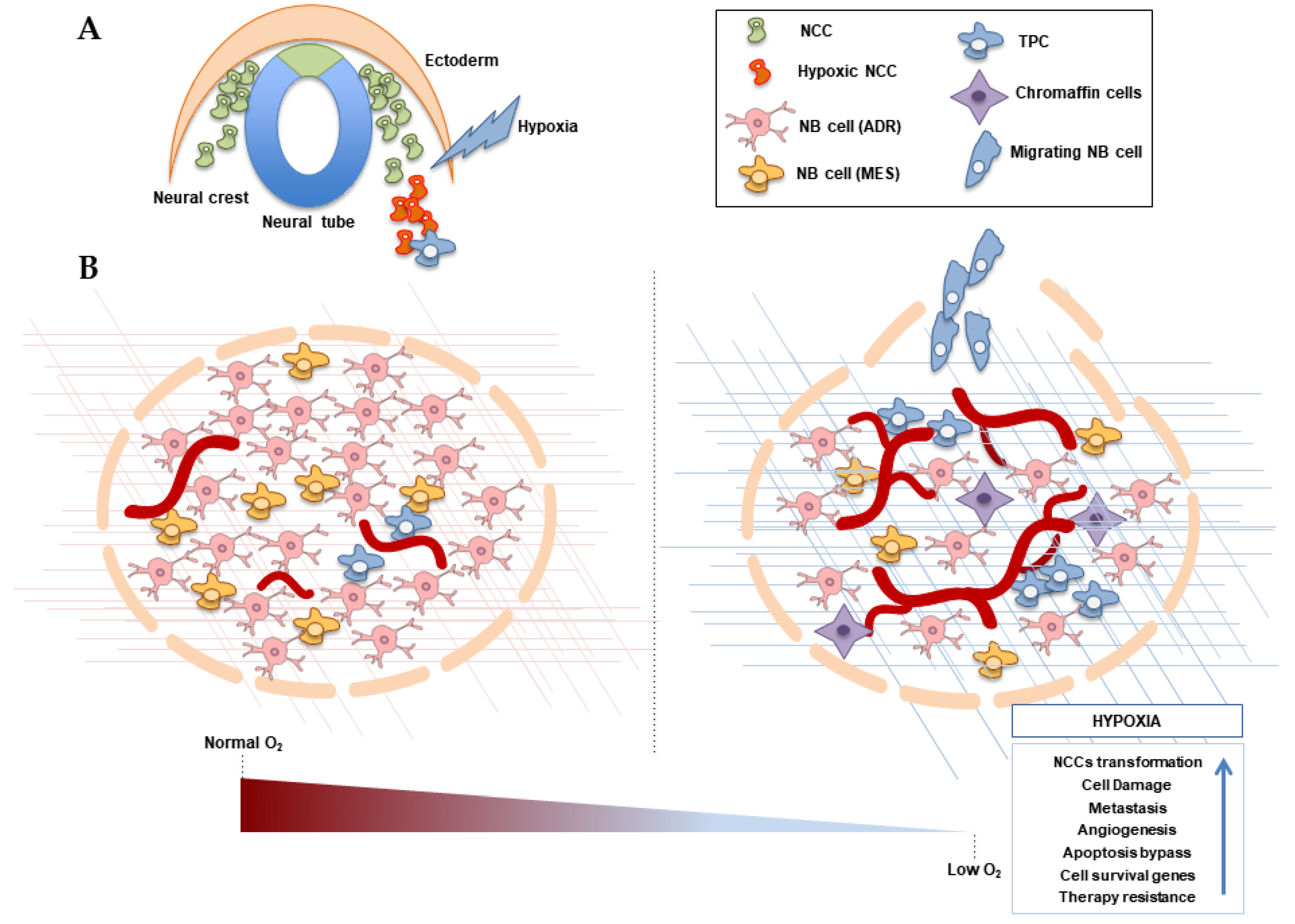 Ijms 21 00039 g002 Ijms 21 00039 g002