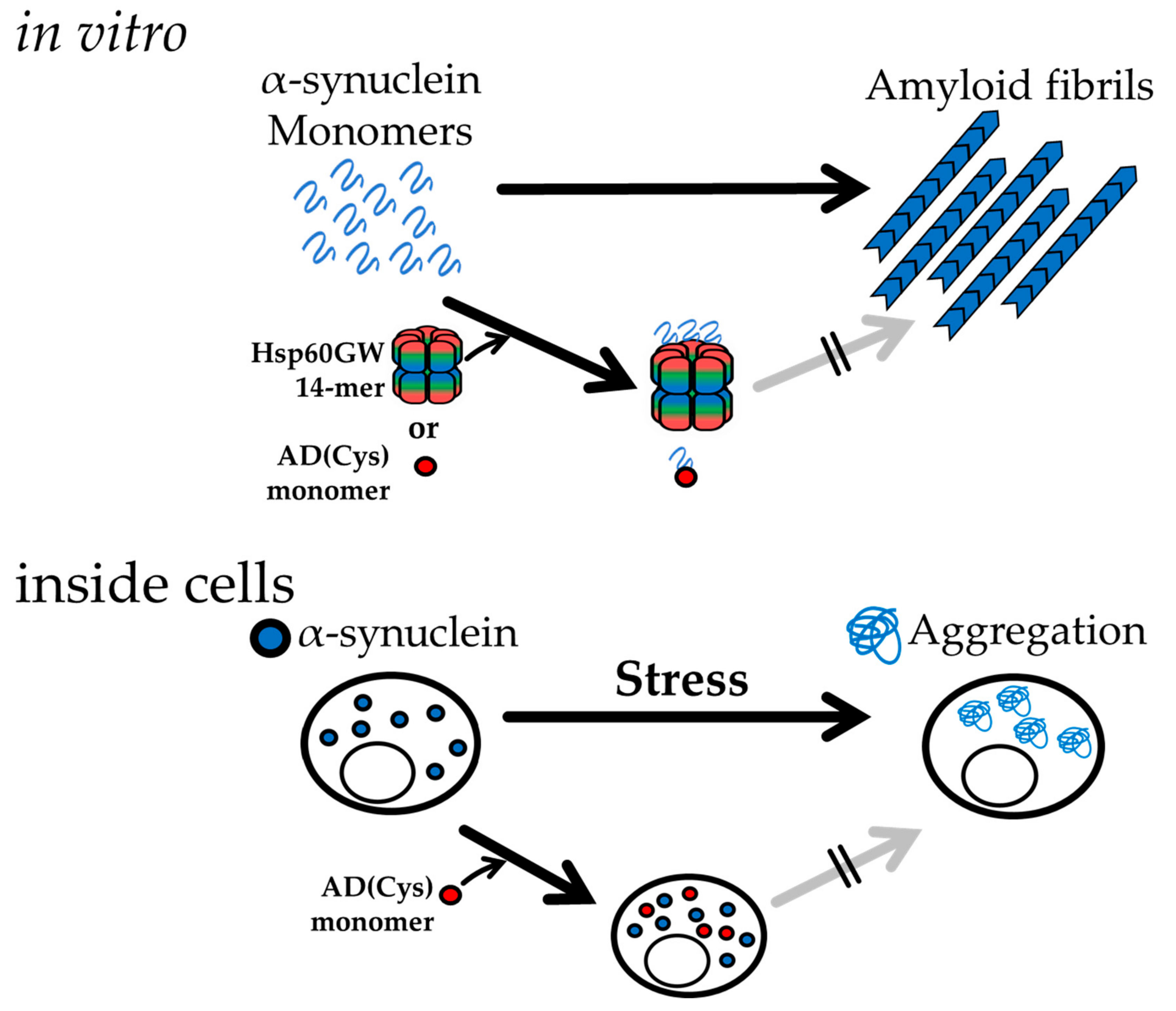 Ijms 21 00047 g007 Ijms 21 00047 g007