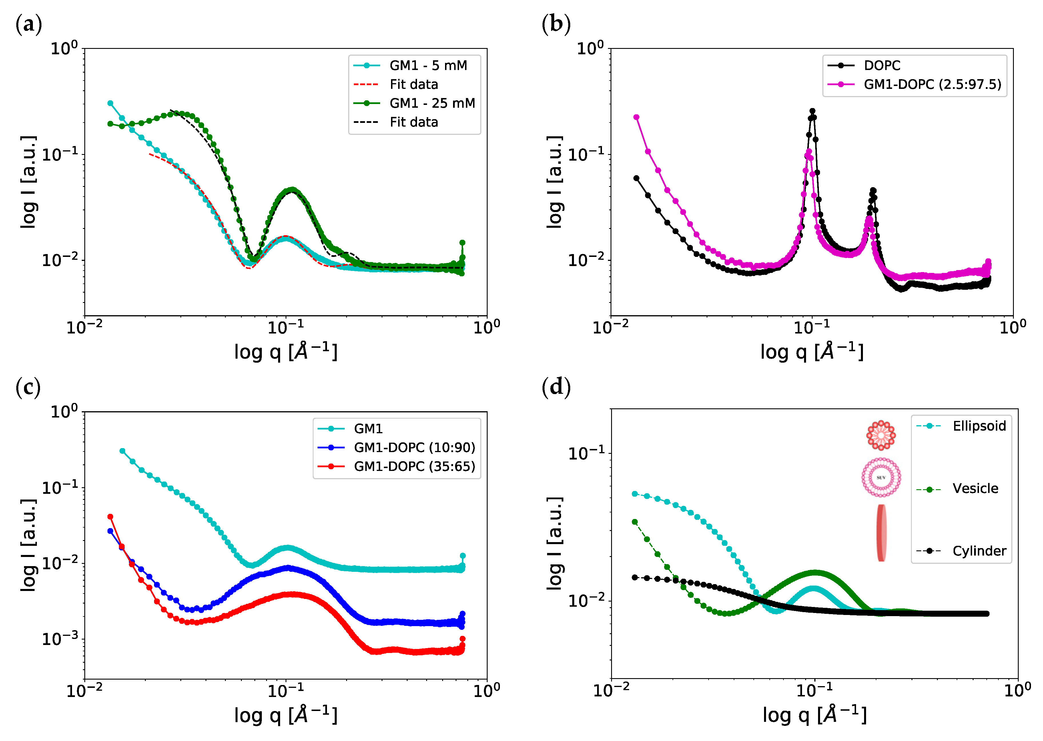 Ijms Free Full Text Self Assembly In Ganglioside Phospholipid Systems The Co Existence Of Vesicles Micelles And Discs Html