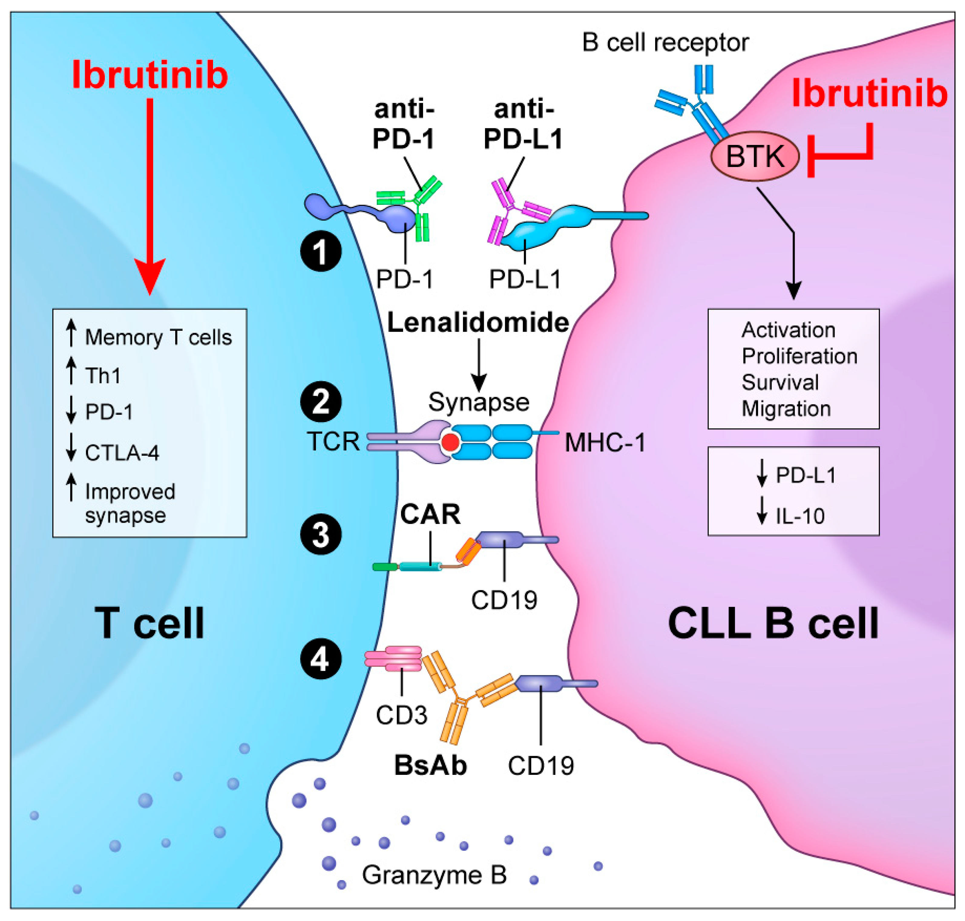 Ijms 21 00068 g002 Ijms 21 00068 g002