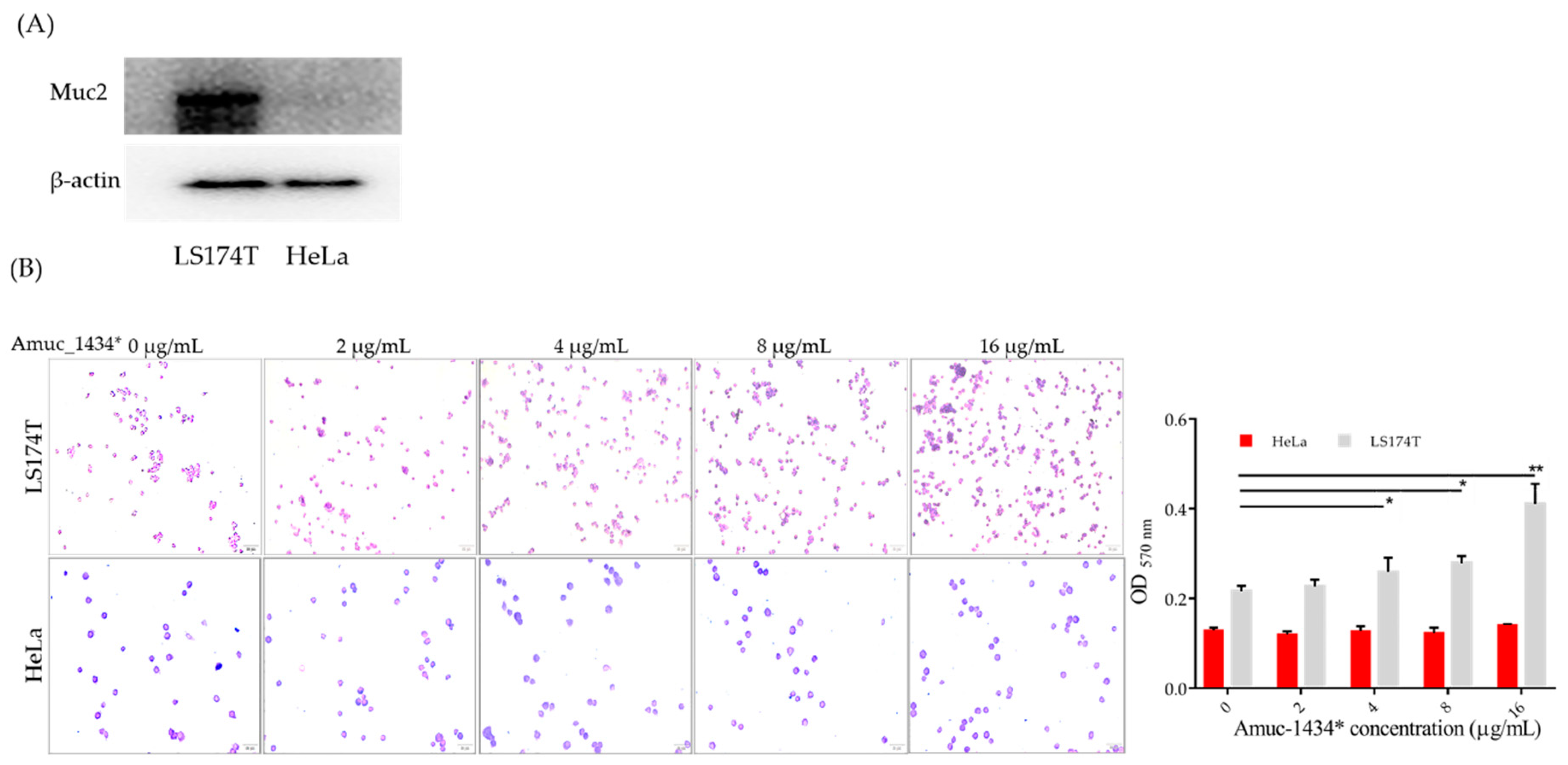 Ijms 21 00072 g006 Ijms 21 00072 g006