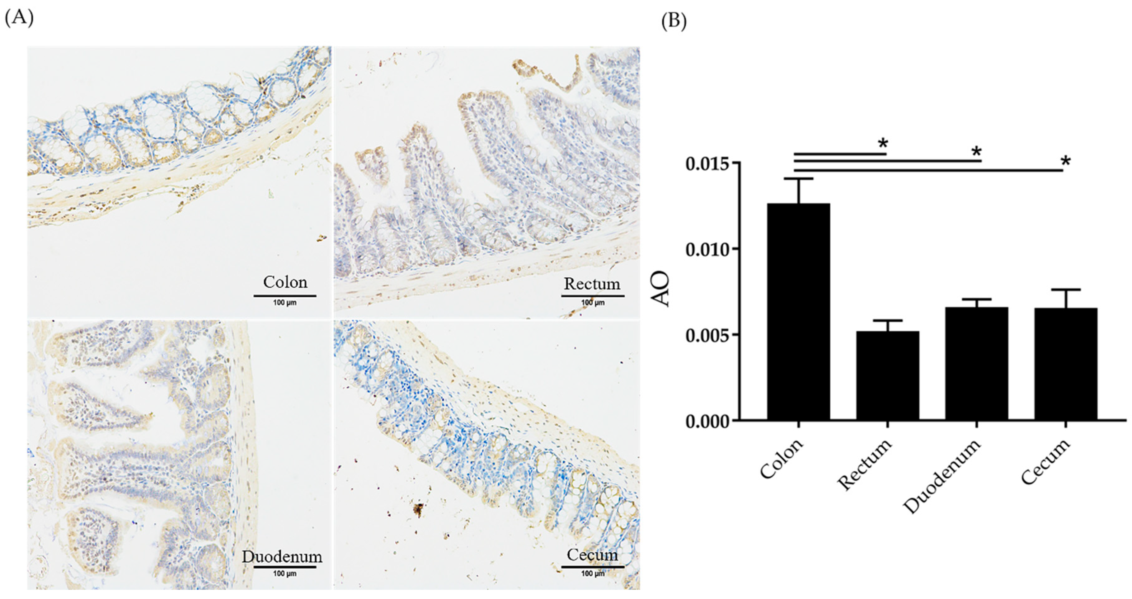 Ijms 21 00072 g008 Ijms 21 00072 g008
