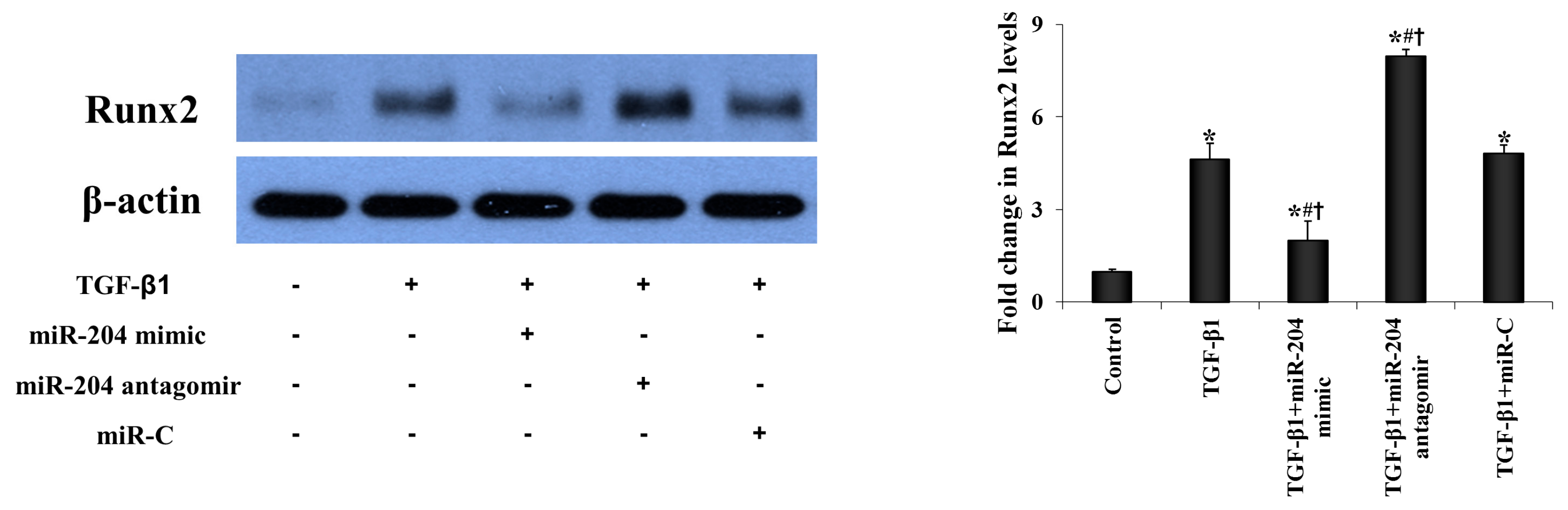 Ijms 21 00076 g004a