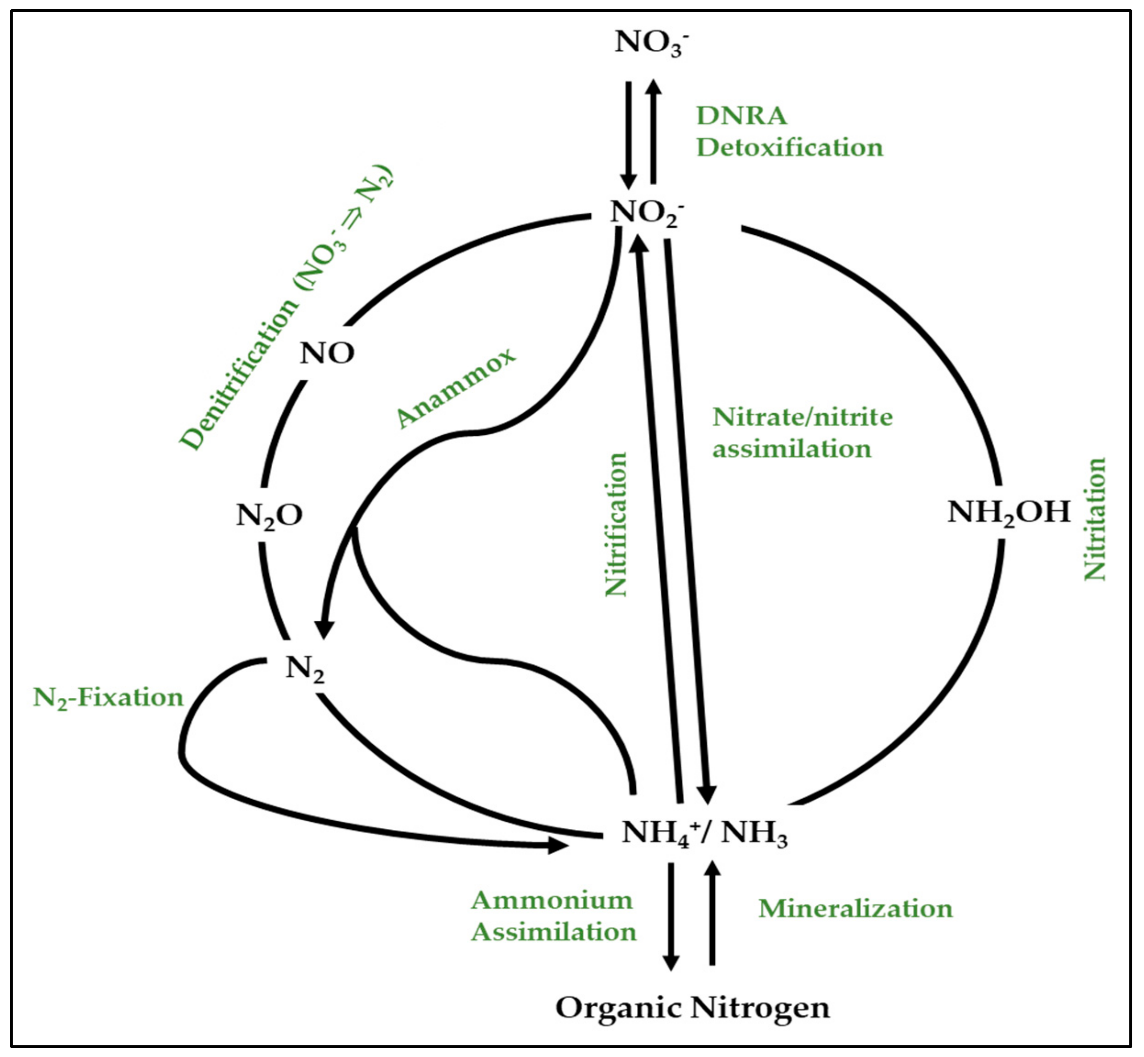 Ijms 21 00082 g003 Ijms 21 00082 g003