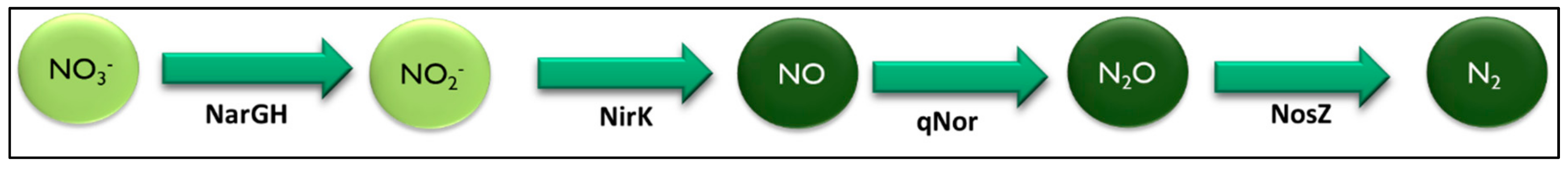 Ijms 21 00082 g004 Ijms 21 00082 g004