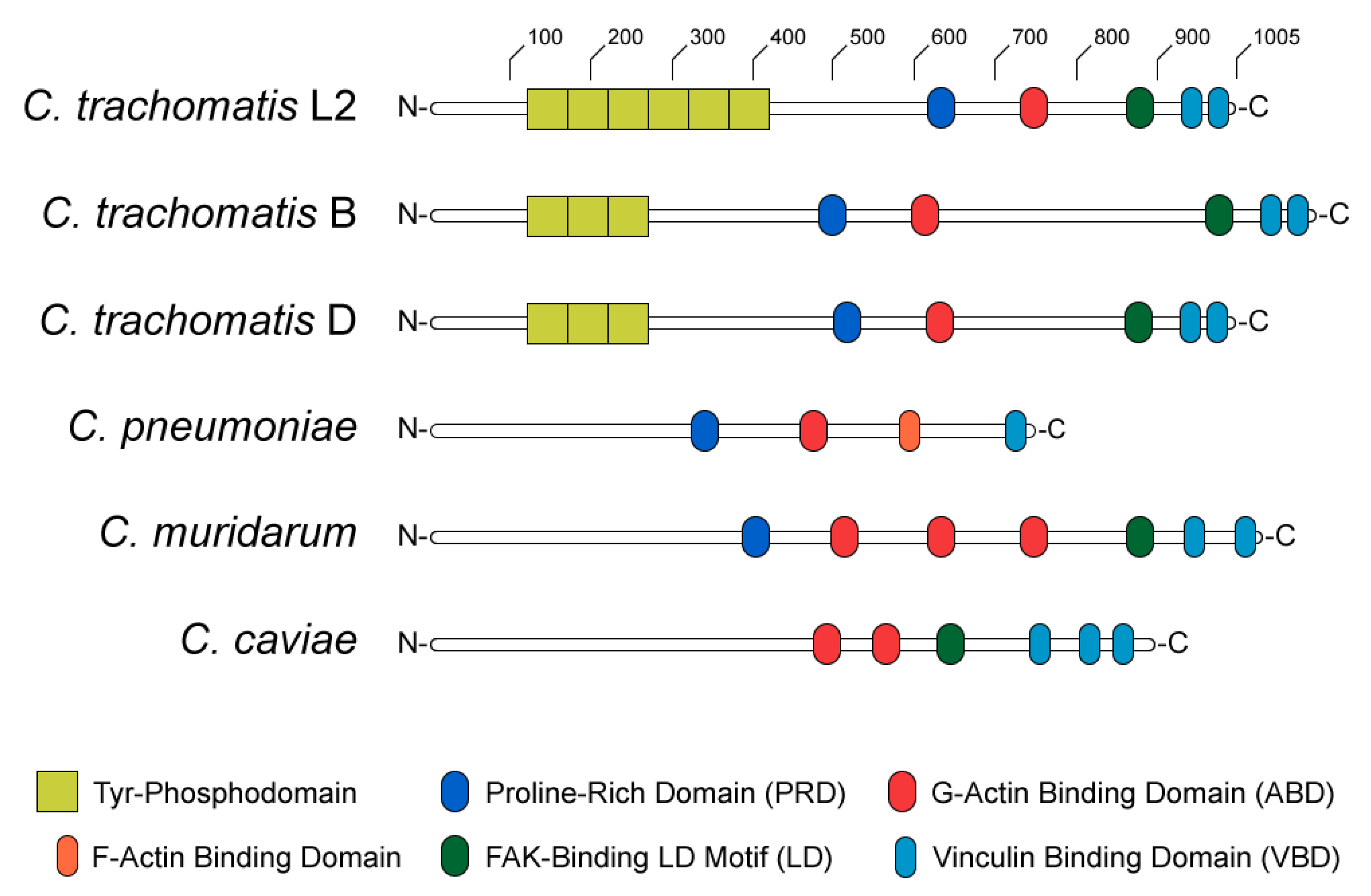 Ijms 21 00090 g002 Ijms 21 00090 g002