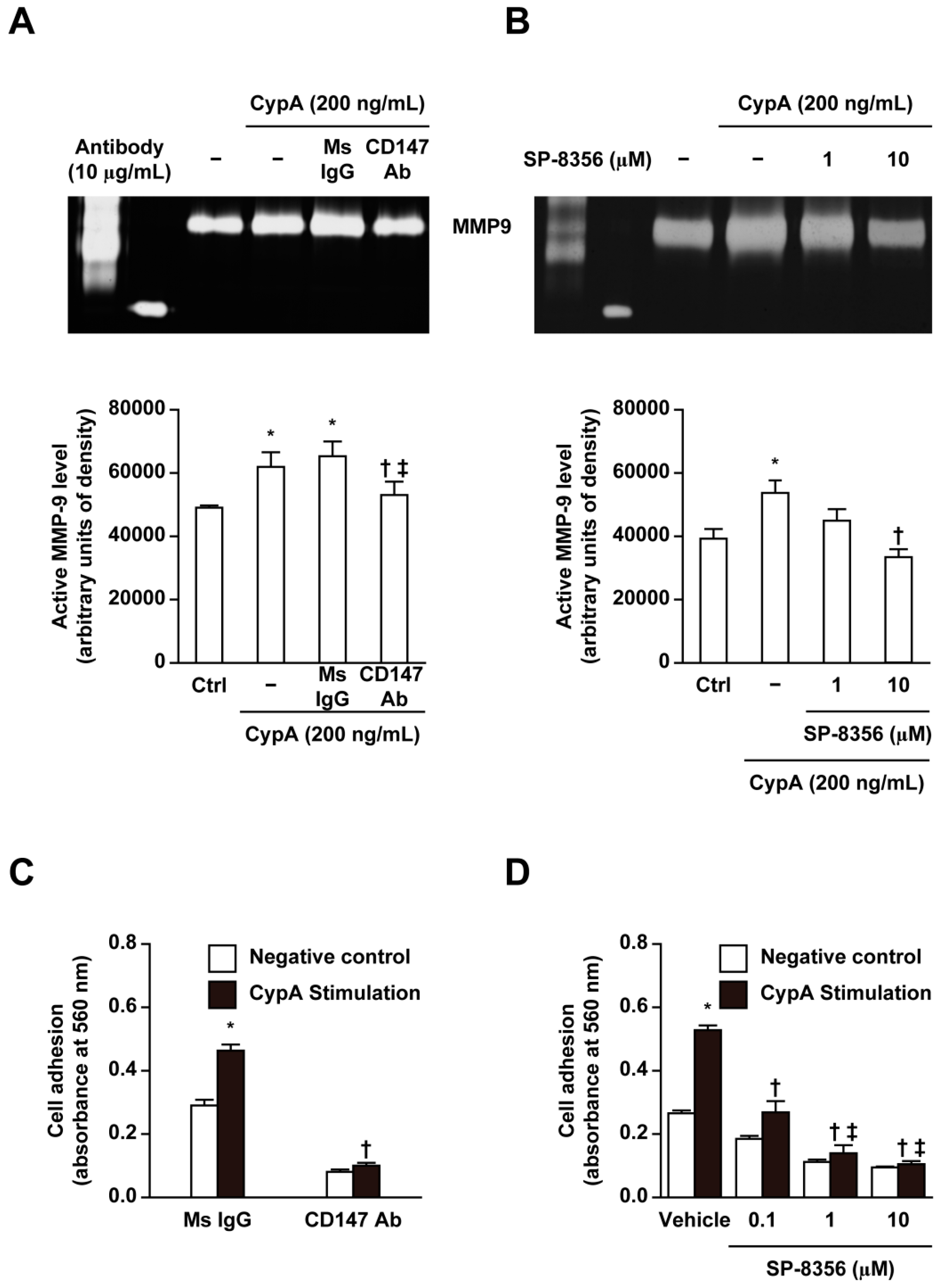 Ijms 21 00095 g002 Ijms 21 00095 g002