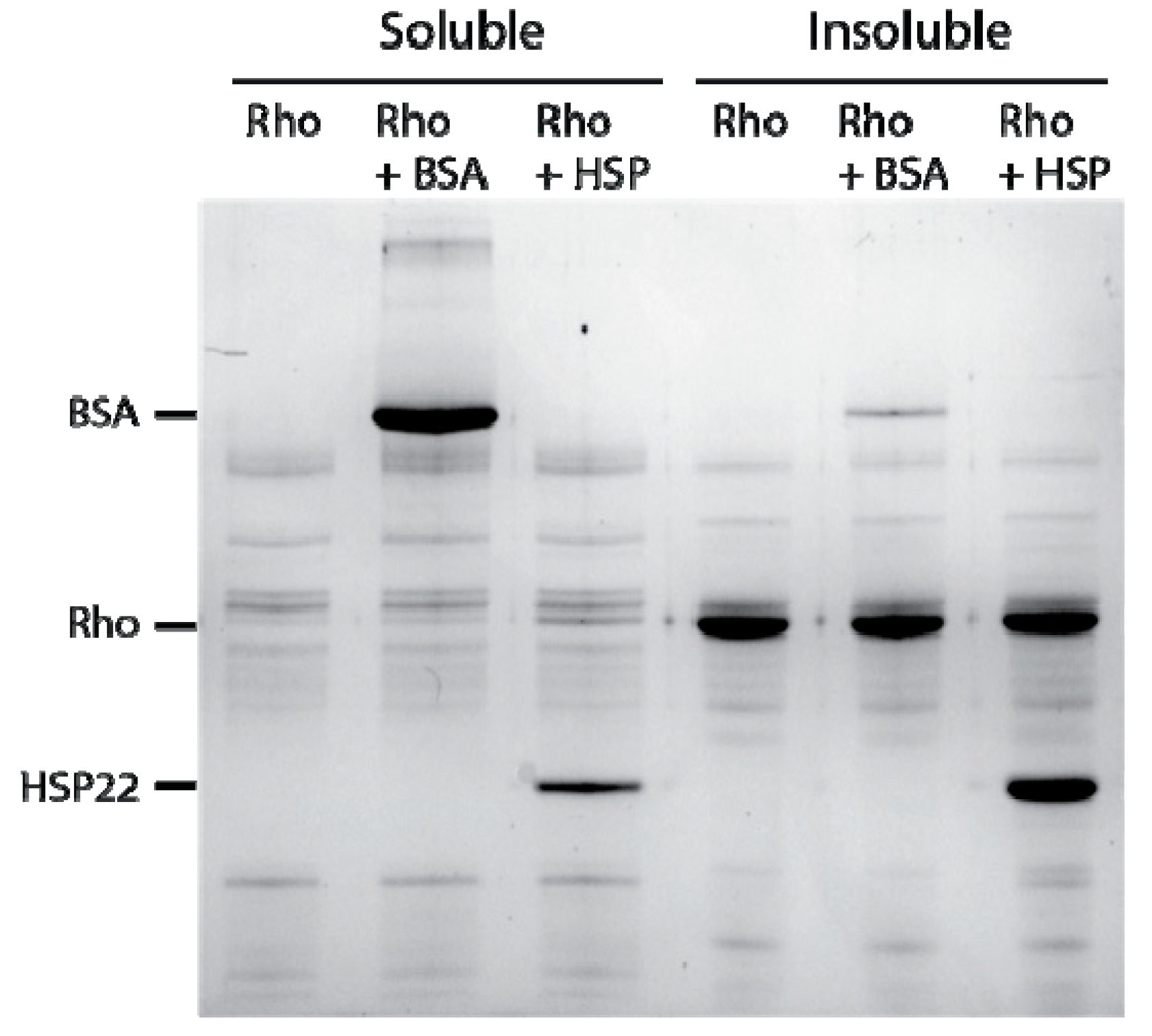 Ijms 21 00097 g005 Ijms 21 00097 g005