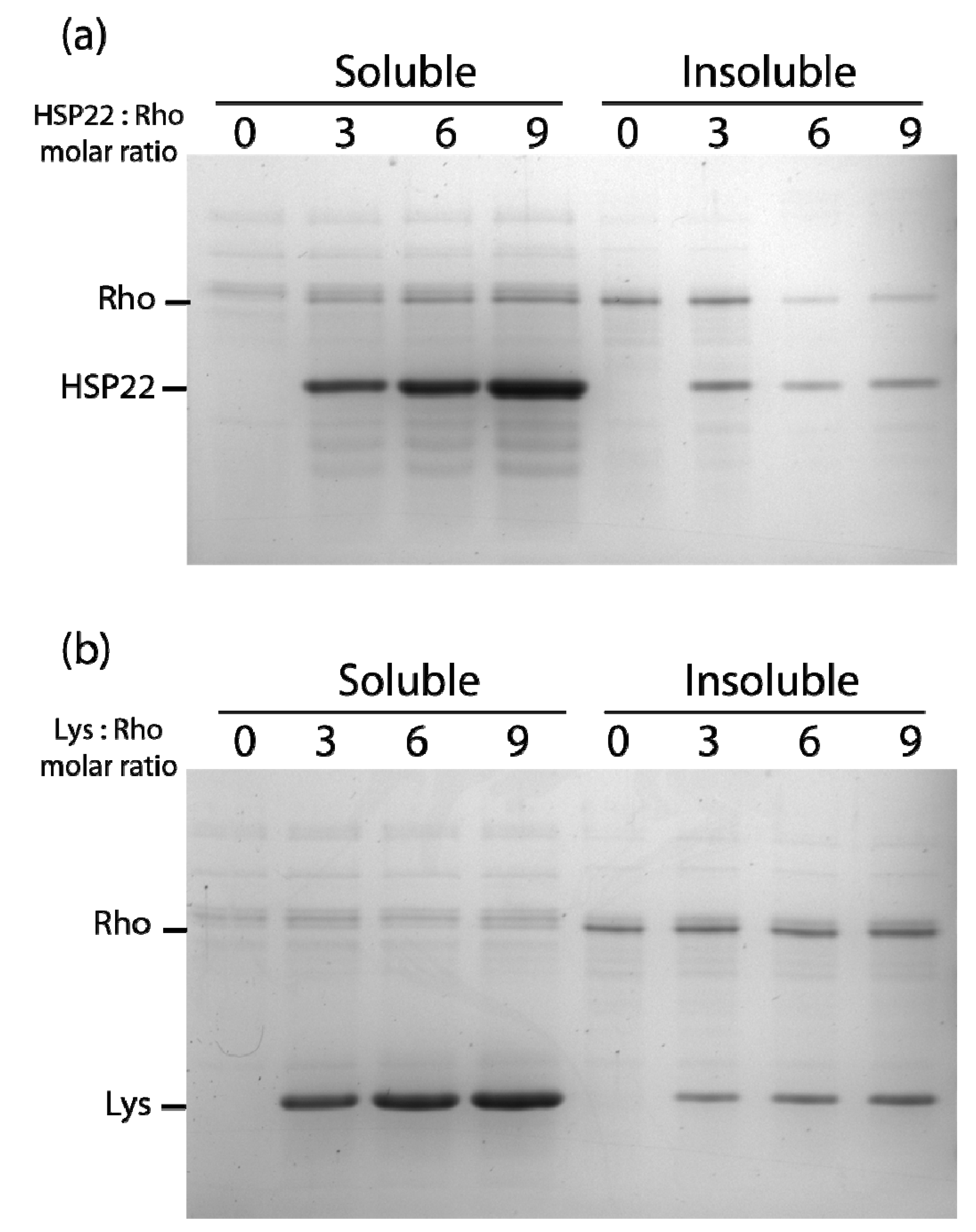 Ijms 21 00097 g006 Ijms 21 00097 g006