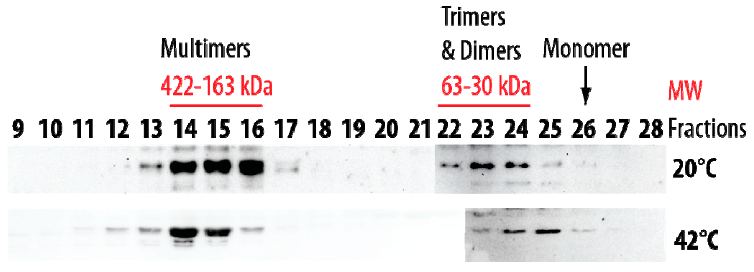 Ijms 21 00097 g011 Ijms 21 00097 g011