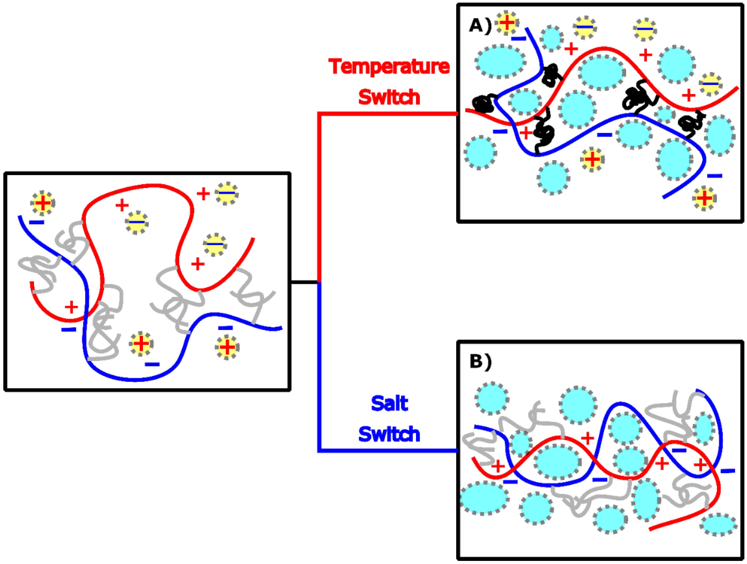 Ijms 21 00100 g005 Ijms 21 00100 g005