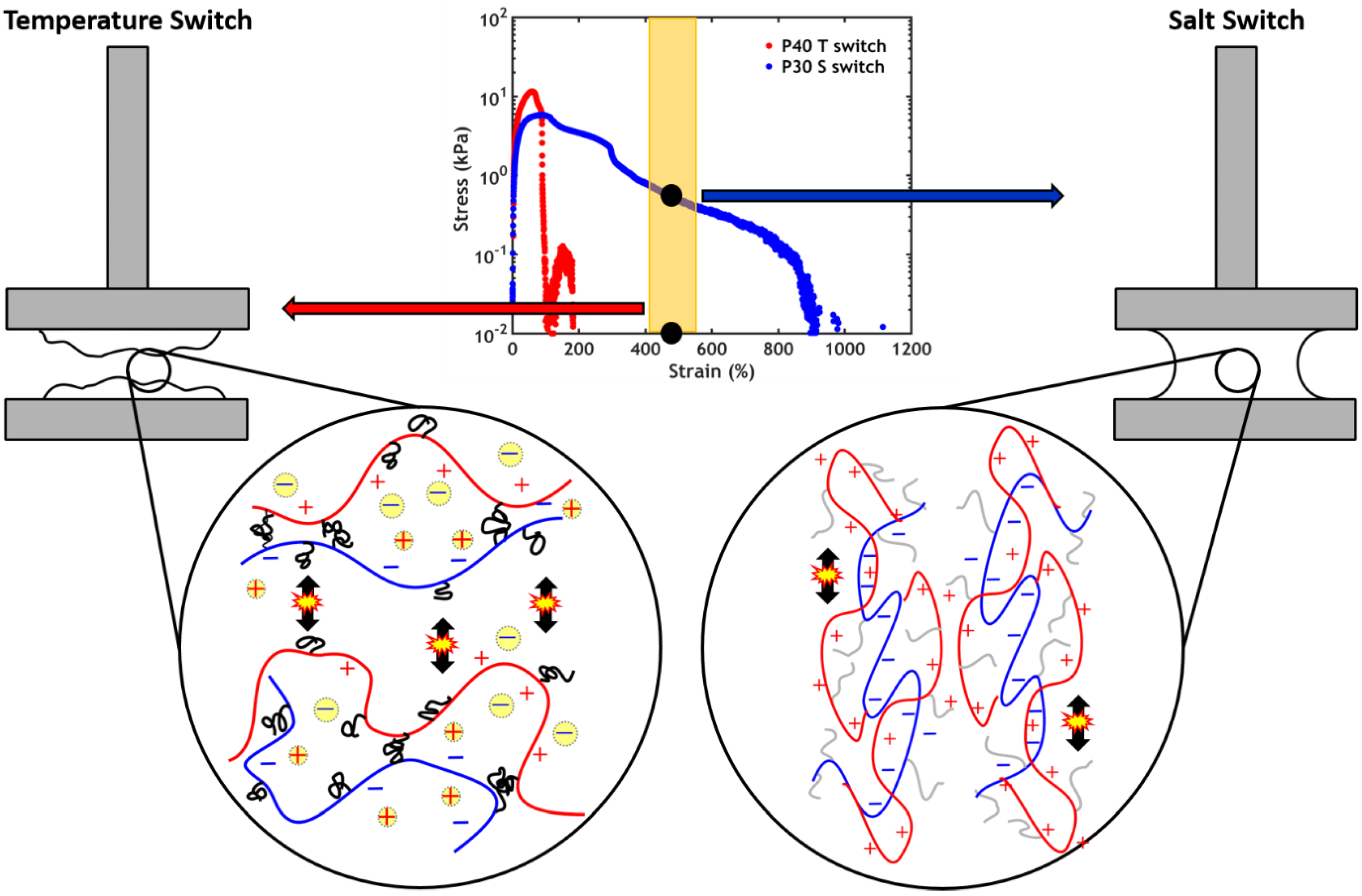 Ijms 21 00100 g016 Ijms 21 00100 g016