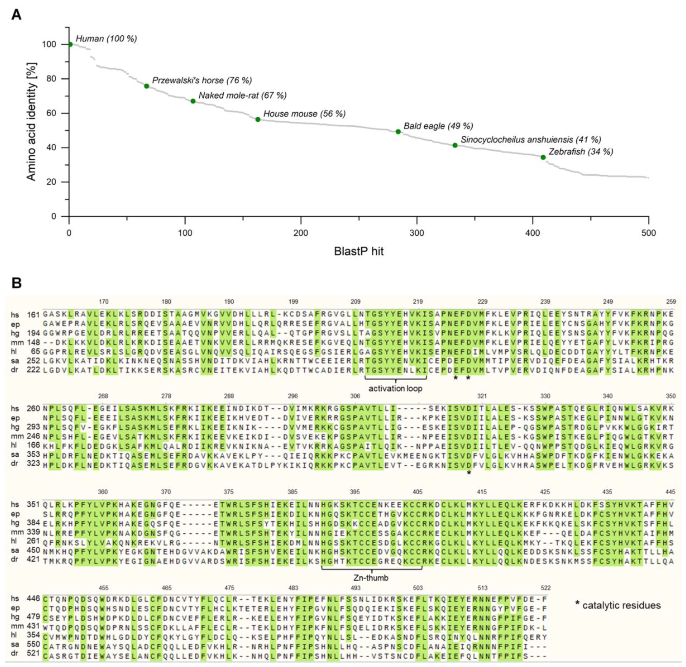 Ijms 21 00105 g002 Ijms 21 00105 g002