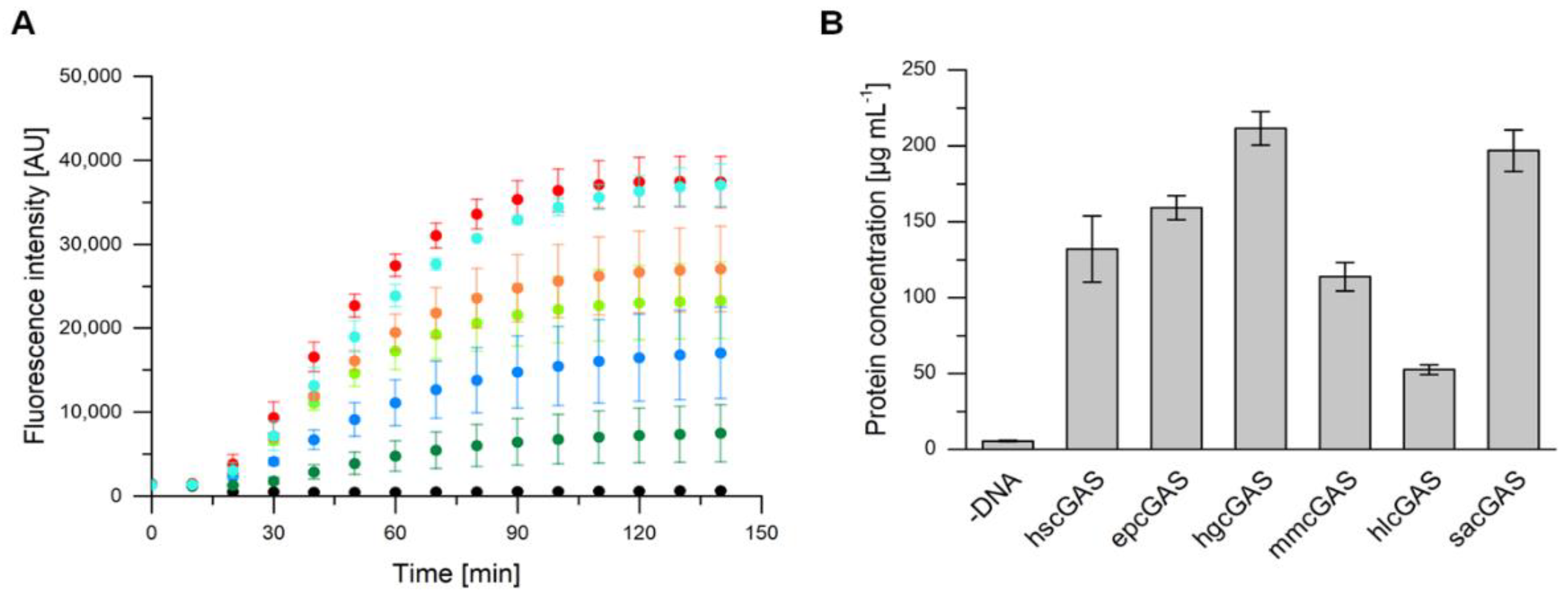 Ijms 21 00105 g003 Ijms 21 00105 g003