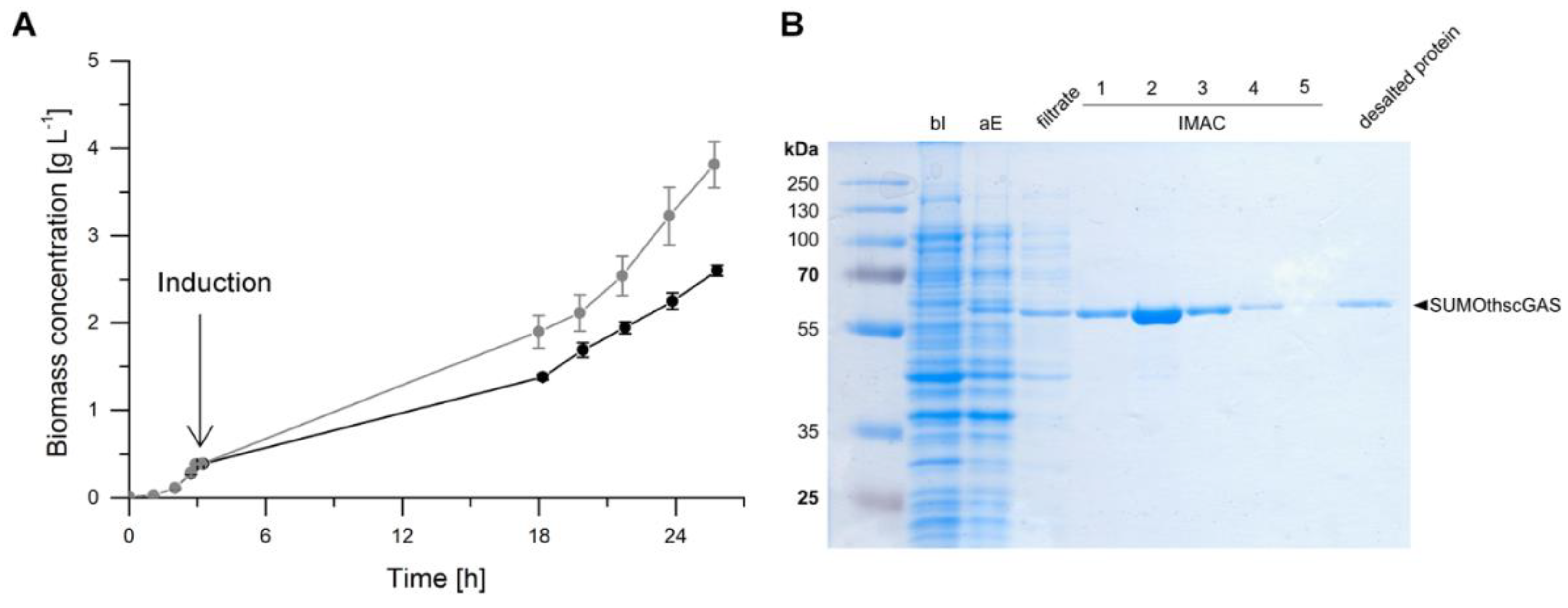 Ijms 21 00105 g004 Ijms 21 00105 g004