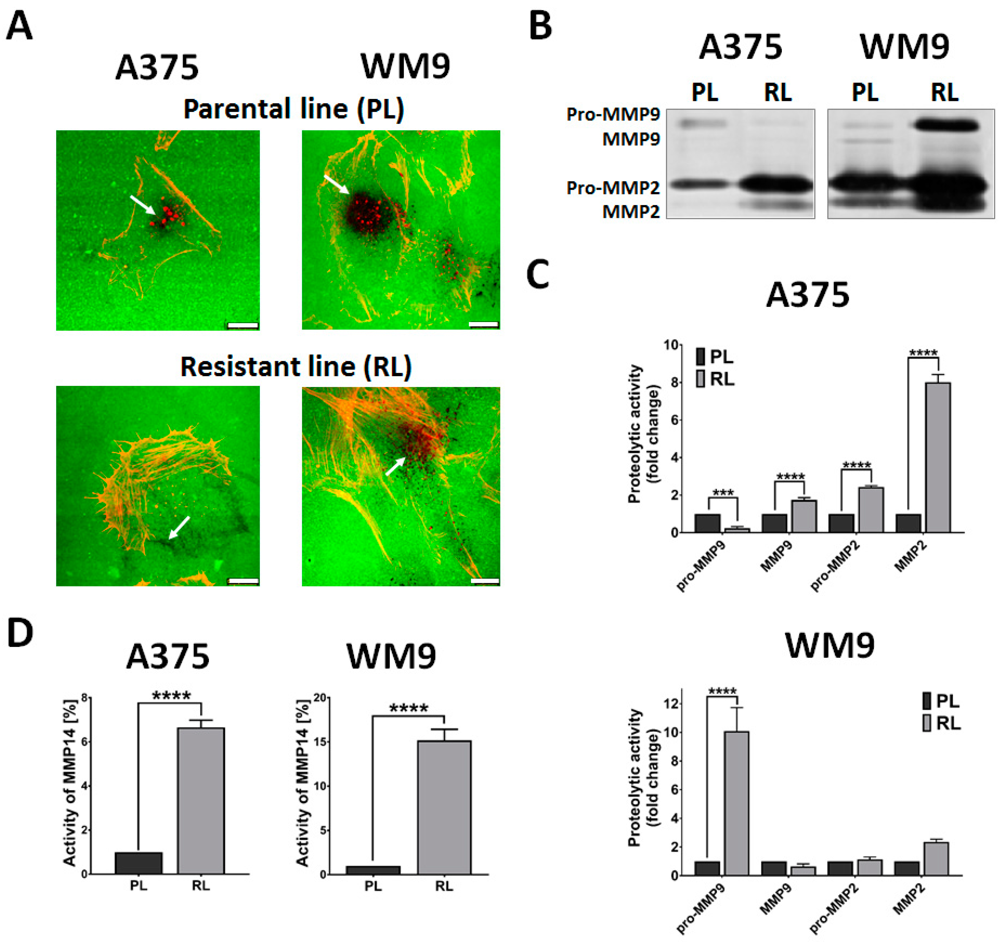 Ijms 21 00113 g004 Ijms 21 00113 g004