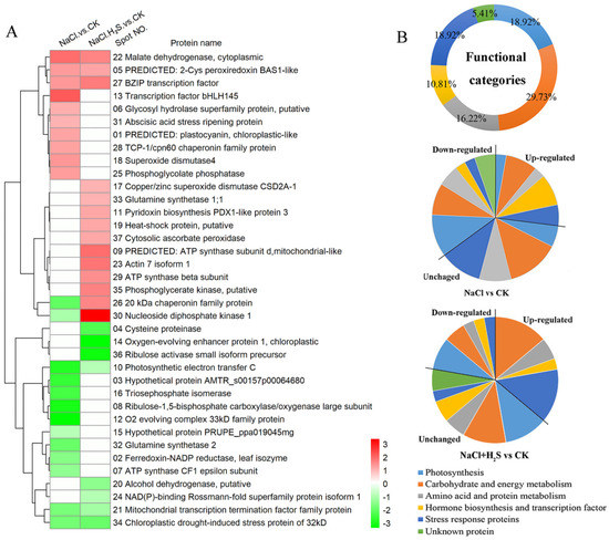 Comparative Proteomic Analysis Reveals the Regulatory Effects of H2S on ...